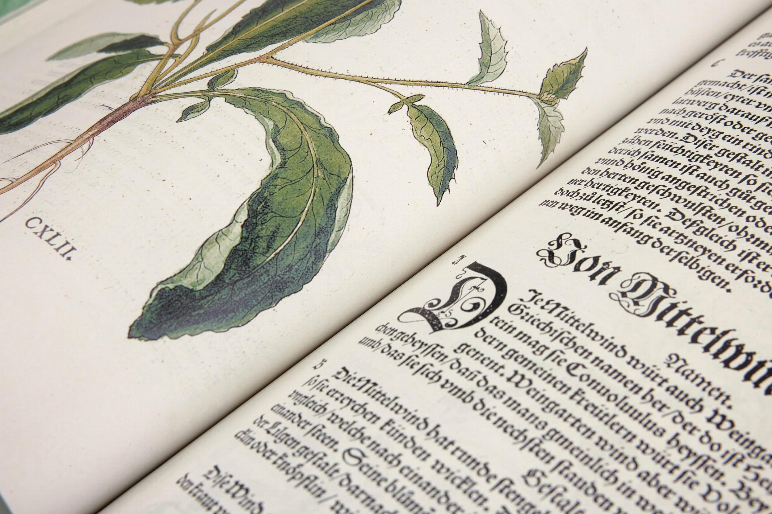 Leonhart Fuchs. Das New Kreüterbuch