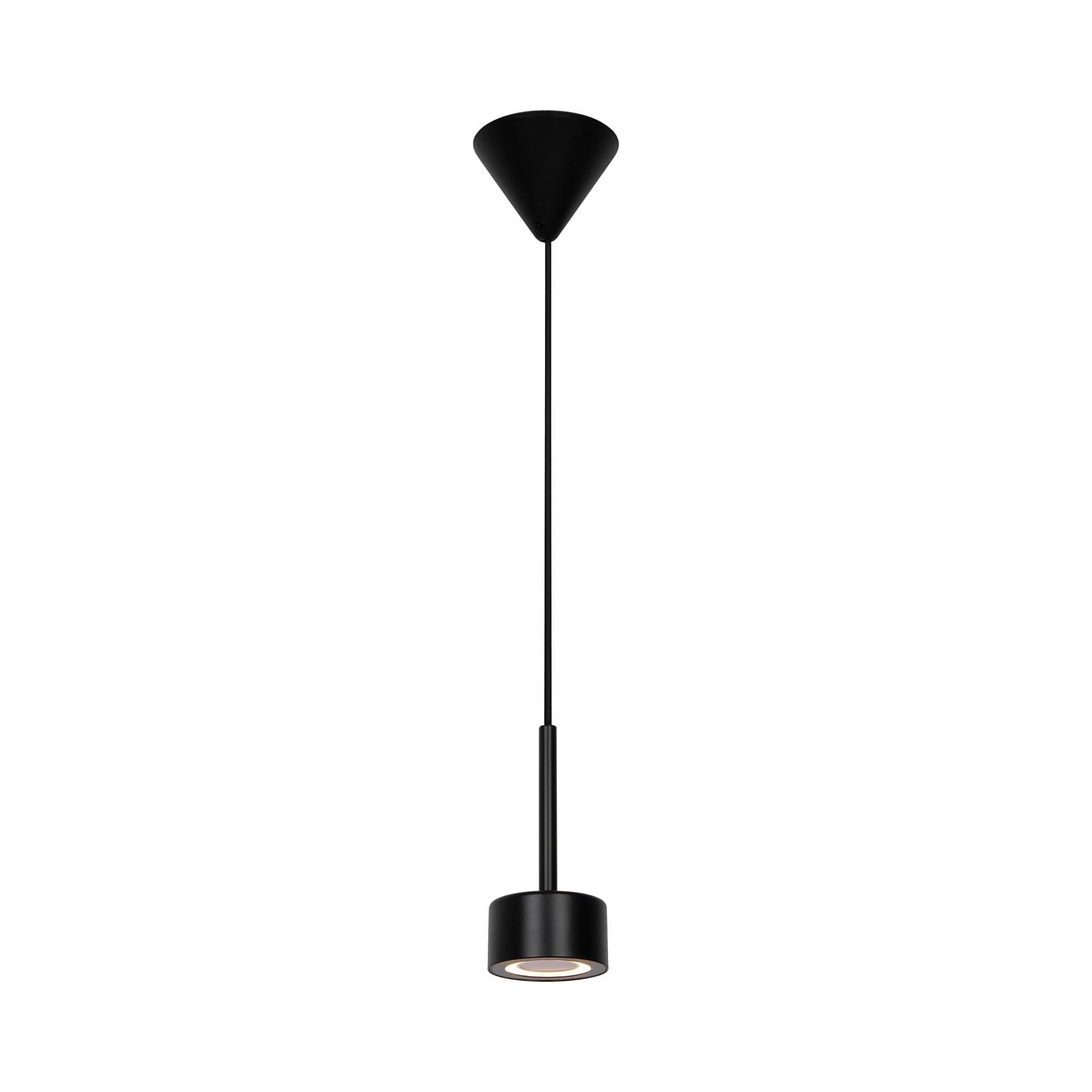 Clyde Pendant Light Black