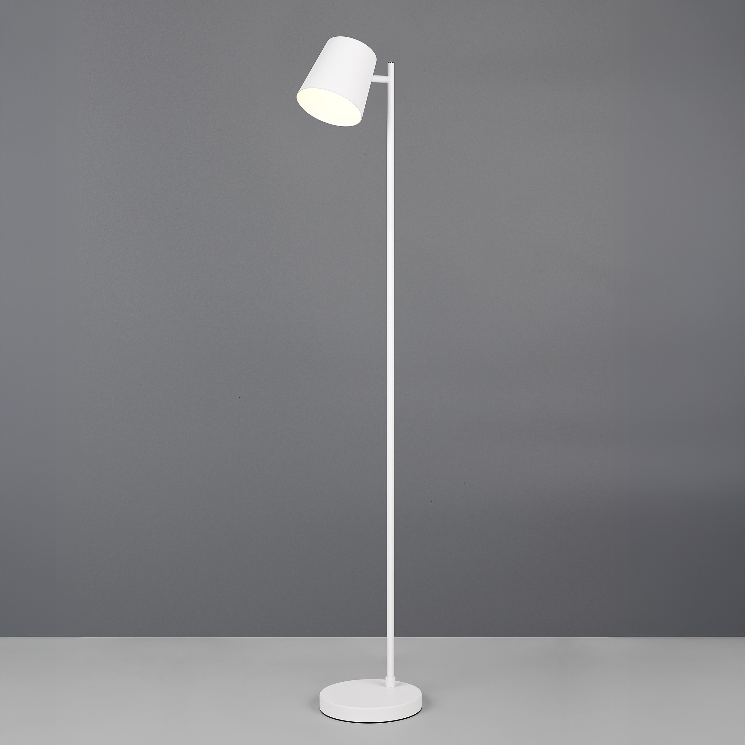 Blake LED floor lamp 1-light iron white