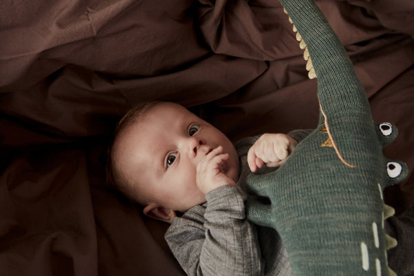 Signor Coccodrillo Gustav Grün