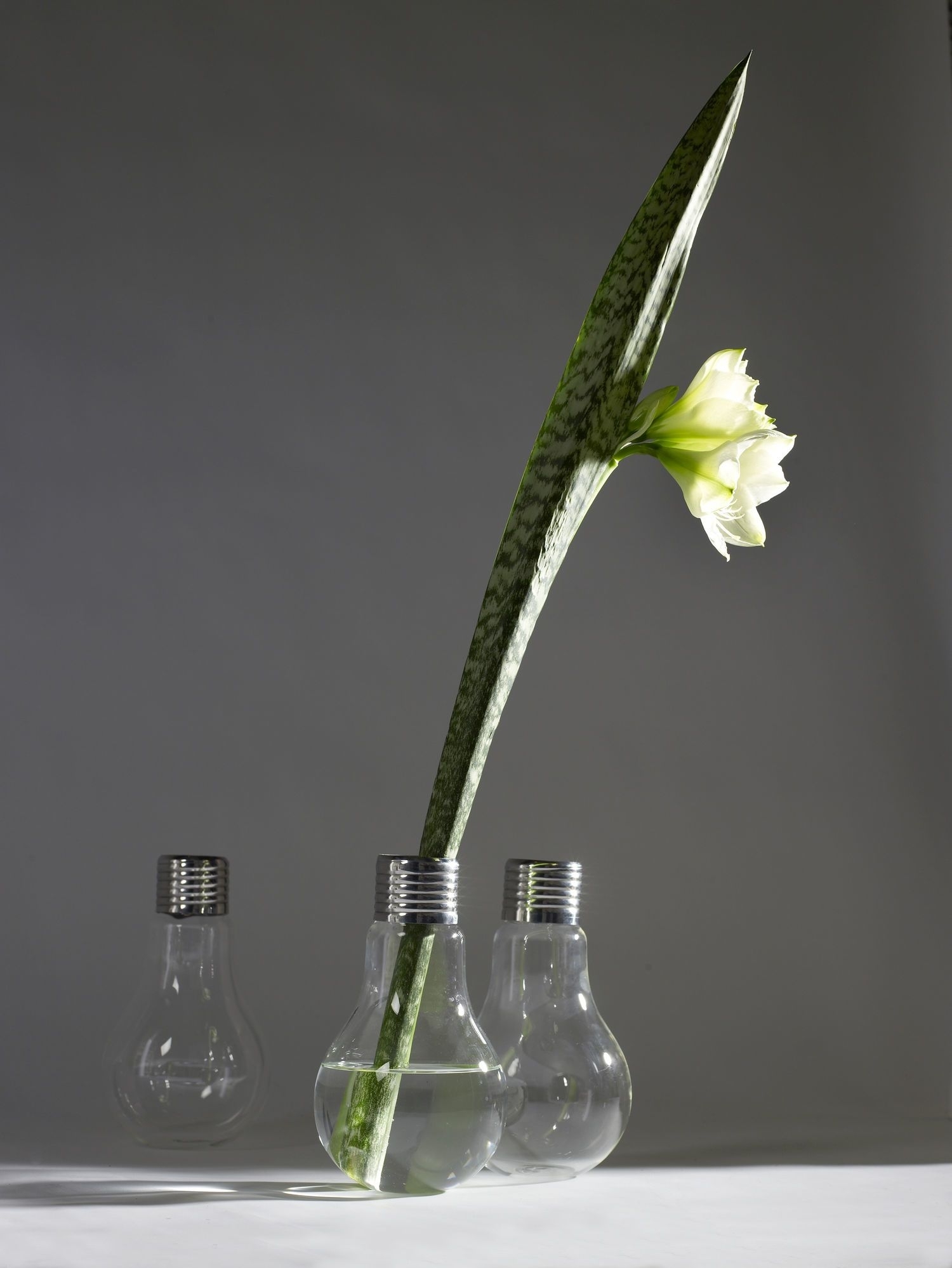 Lightbulb Vase Transparent