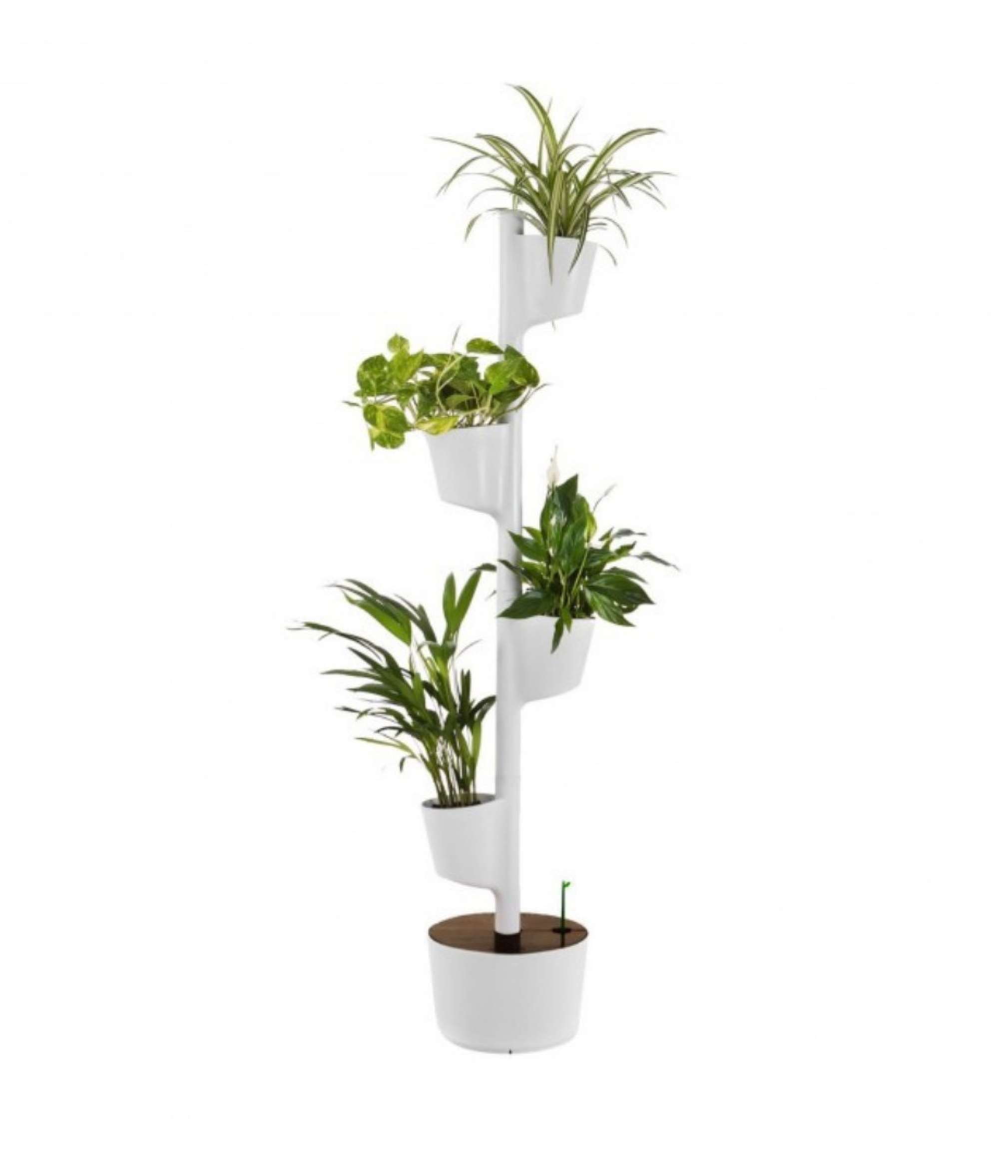 Design Award: Pine wood planting system Smart Irrigation