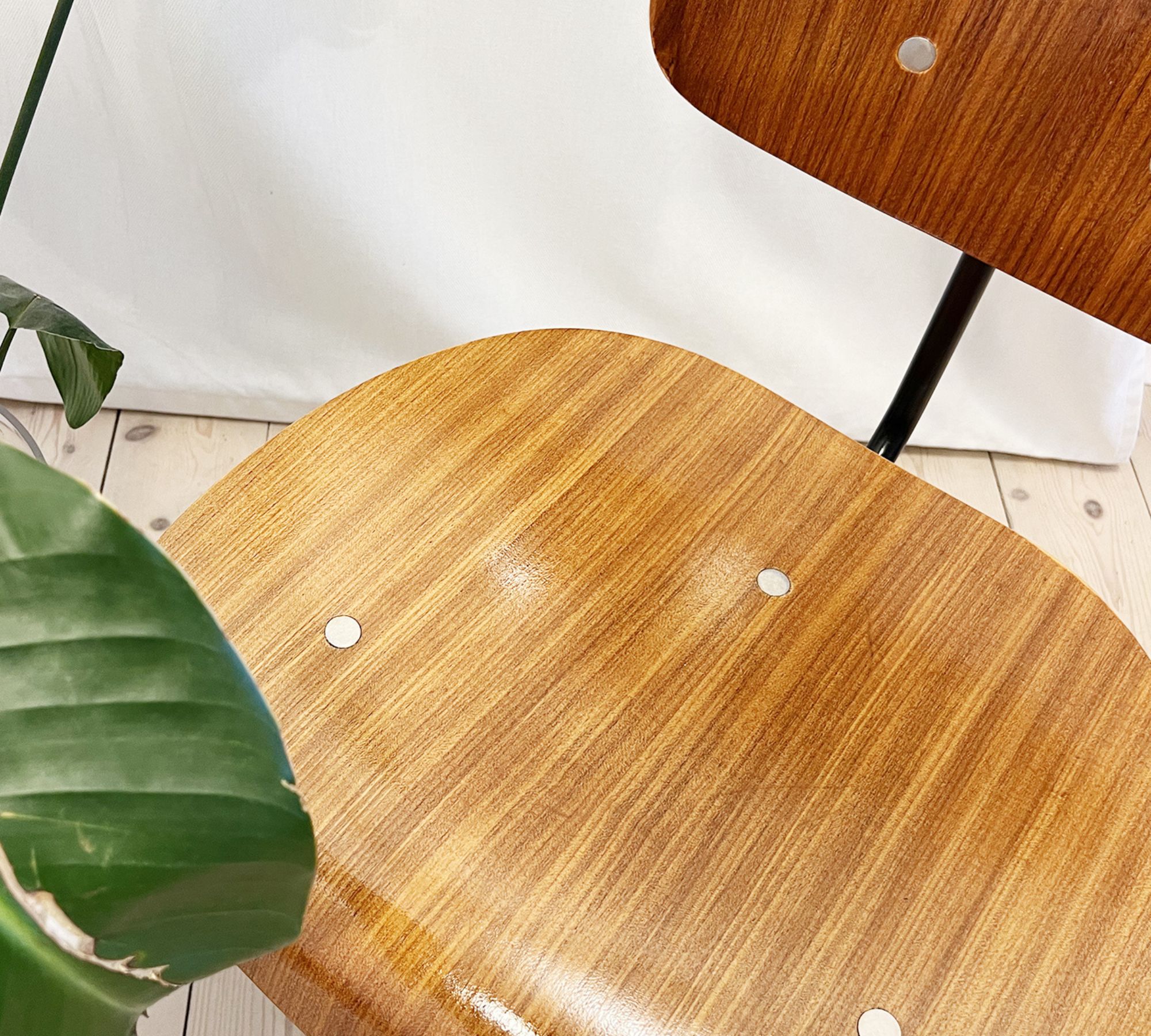 Wilde&Spieth Eiermann SE 68 Stuhl Teakholz Braun