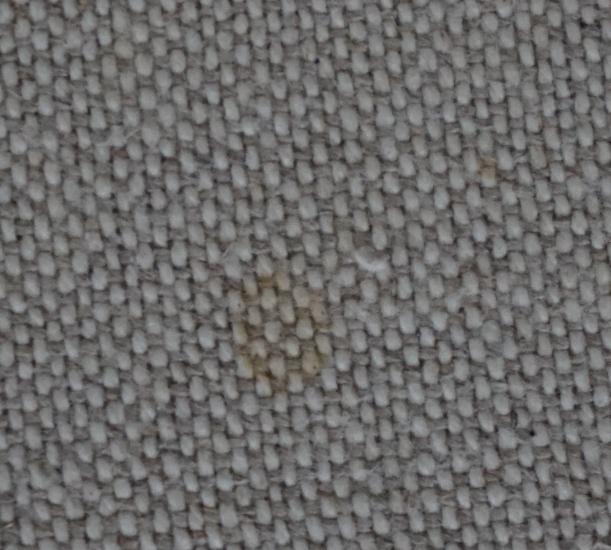 Daphne Modul 1-Sitzer Rechts Fratello Beige