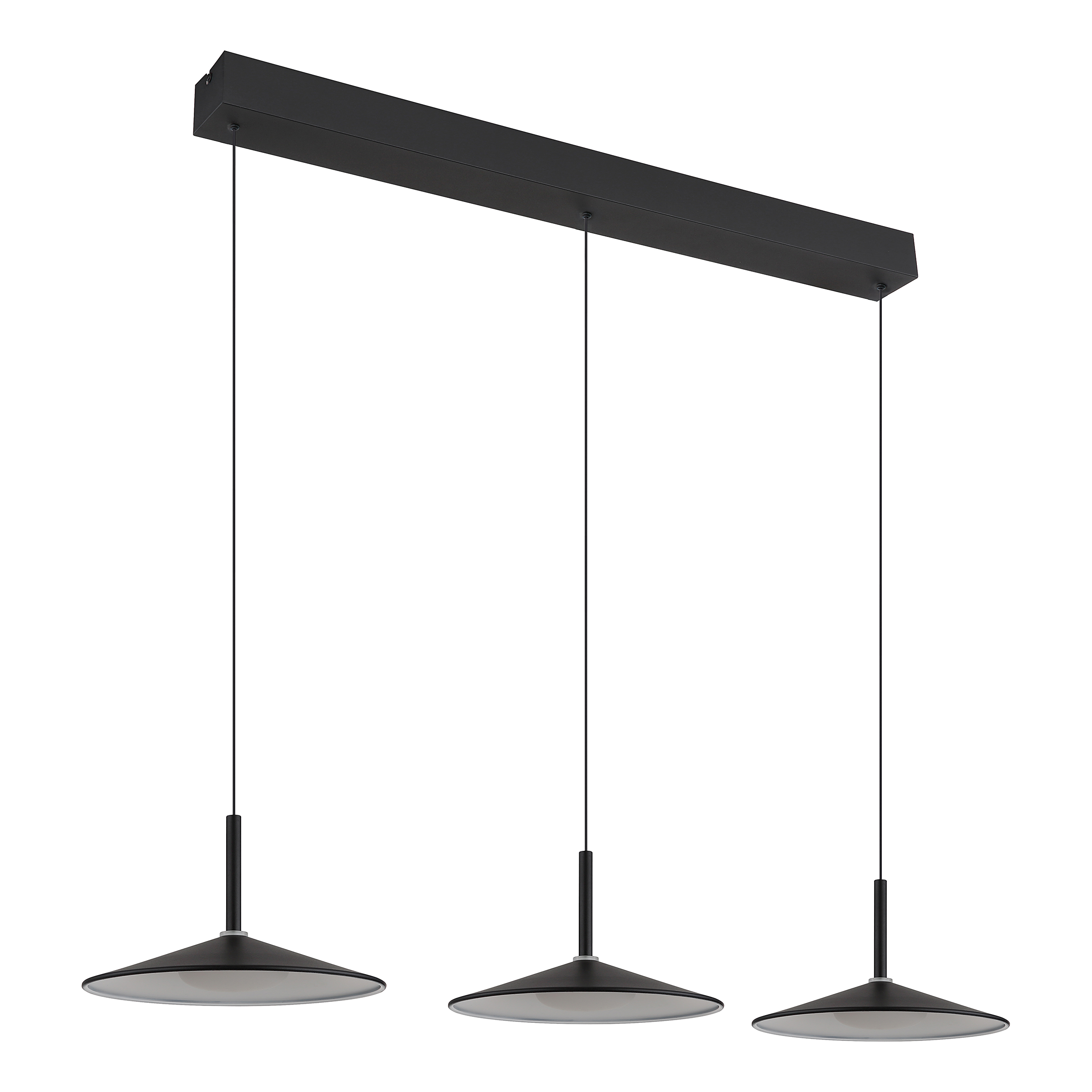 Lampone Type C LED Pendant Light Iron Black