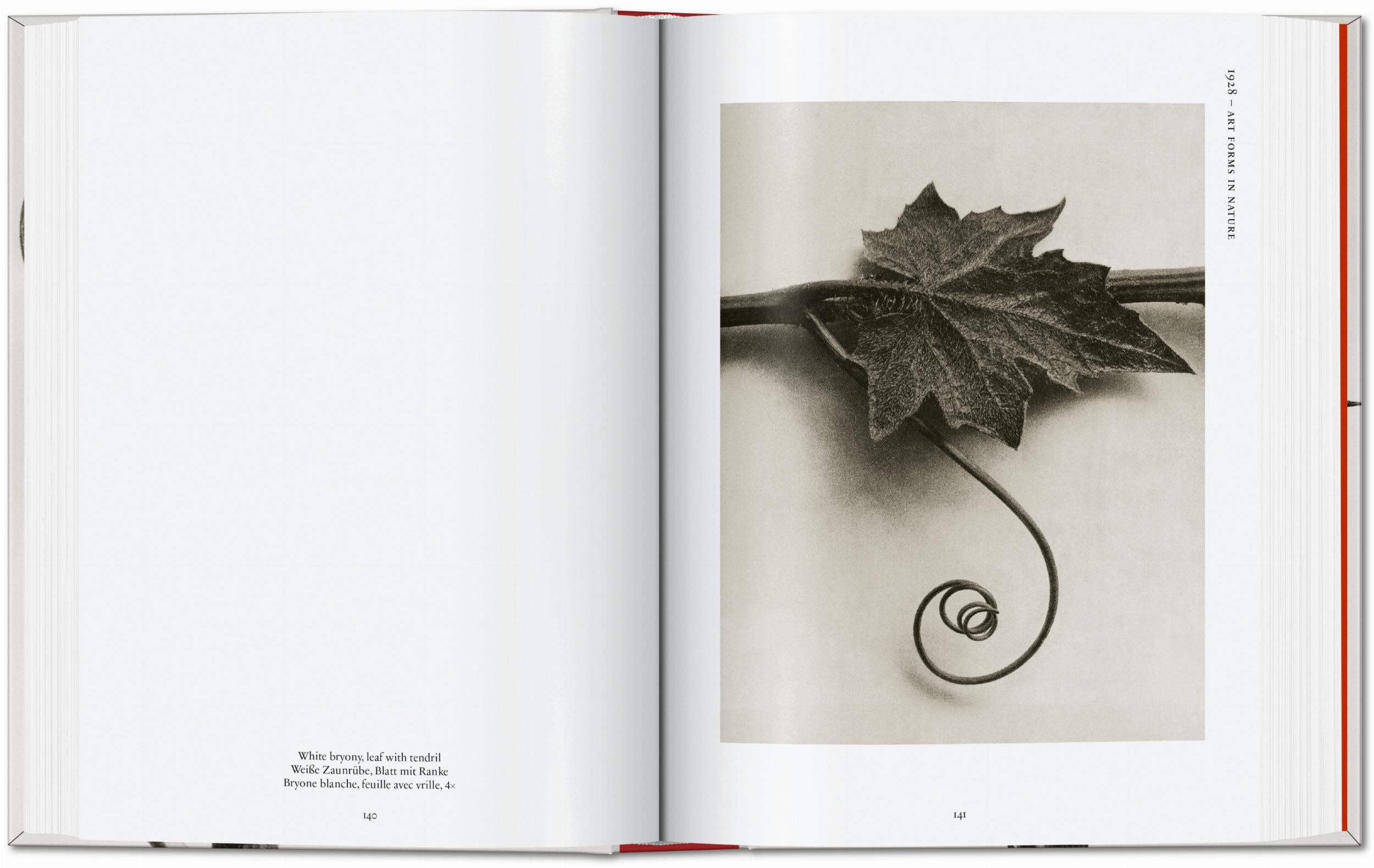 Karl Blossfeldt. The Complete Published Work. 45th Ed.