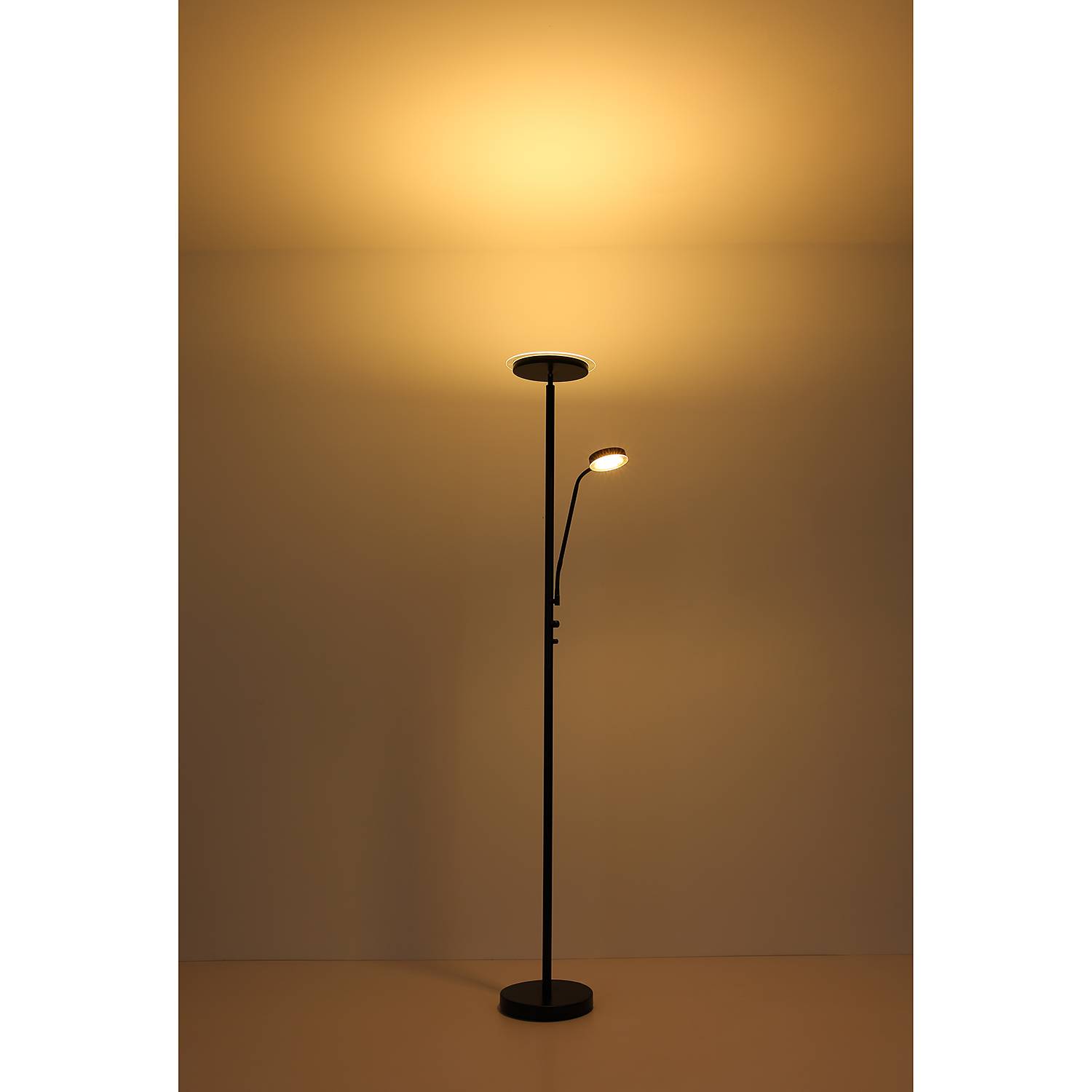 1-Light Ernst LED Floor Lamp Opal Glass Iron