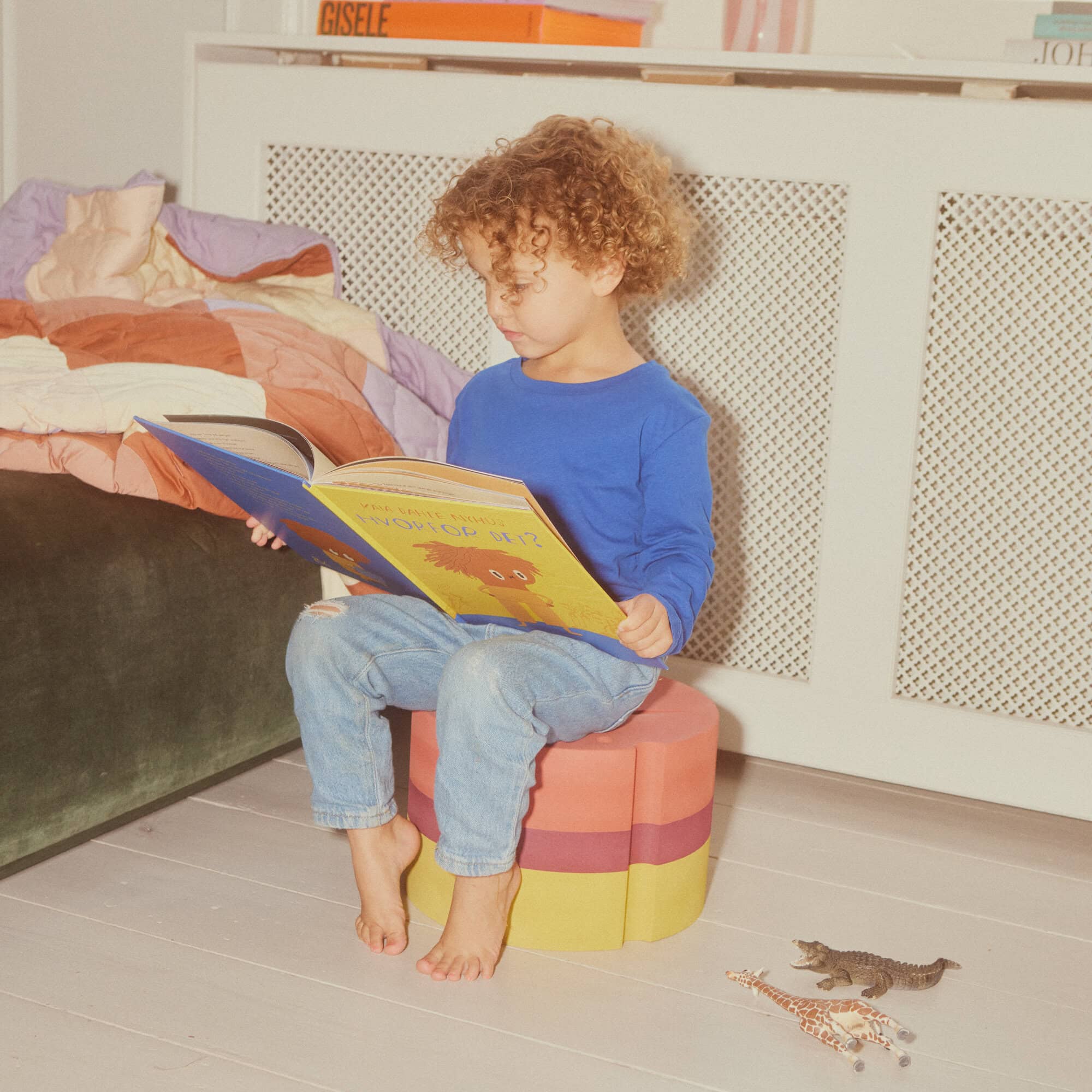 Großes Fisch Spielzeug