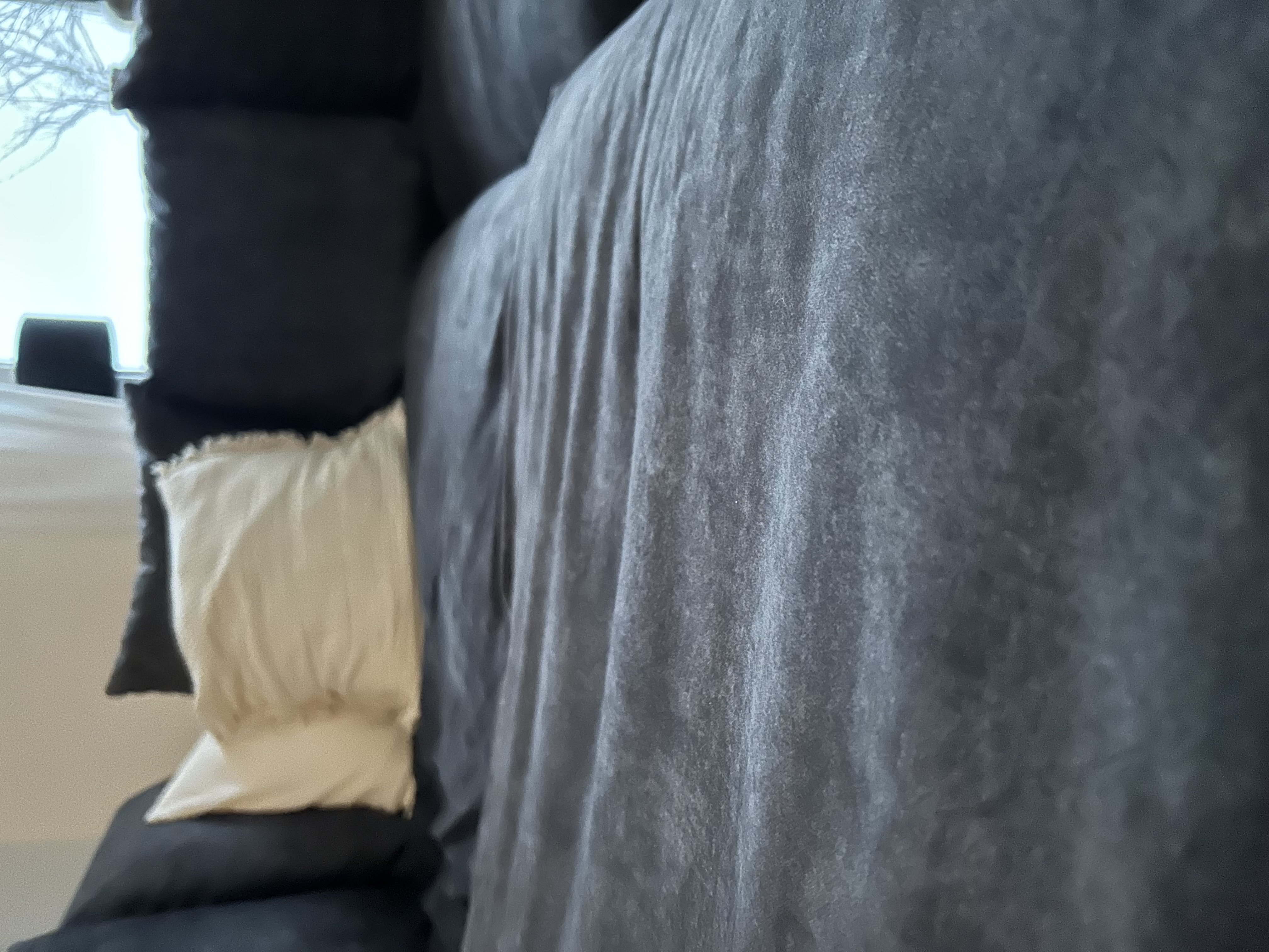 Ecksofa Samt Grau