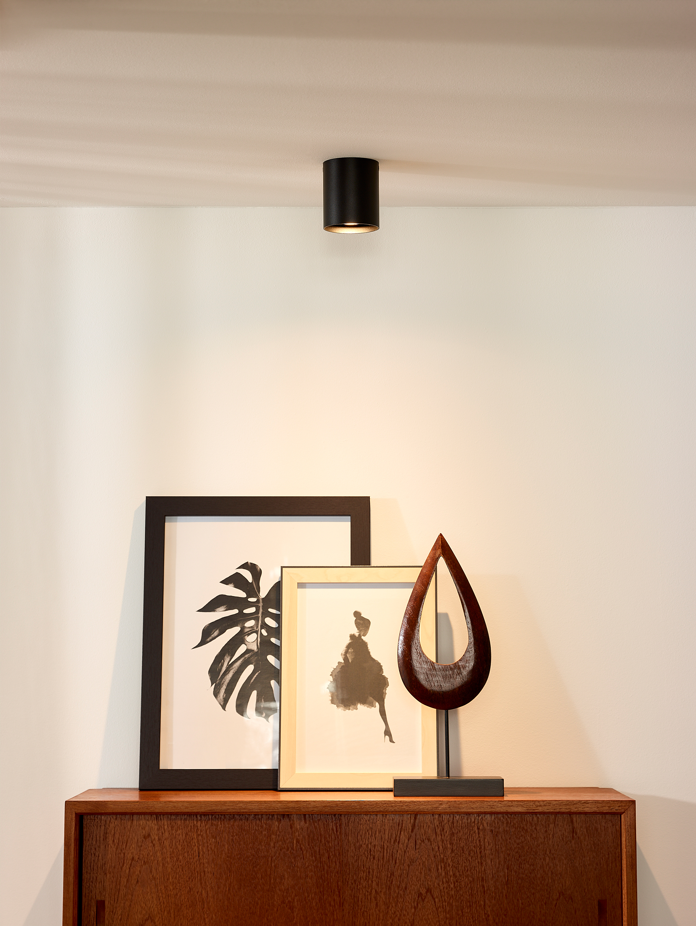 Bodi Type A Ceiling Spotlight Aluminum Black