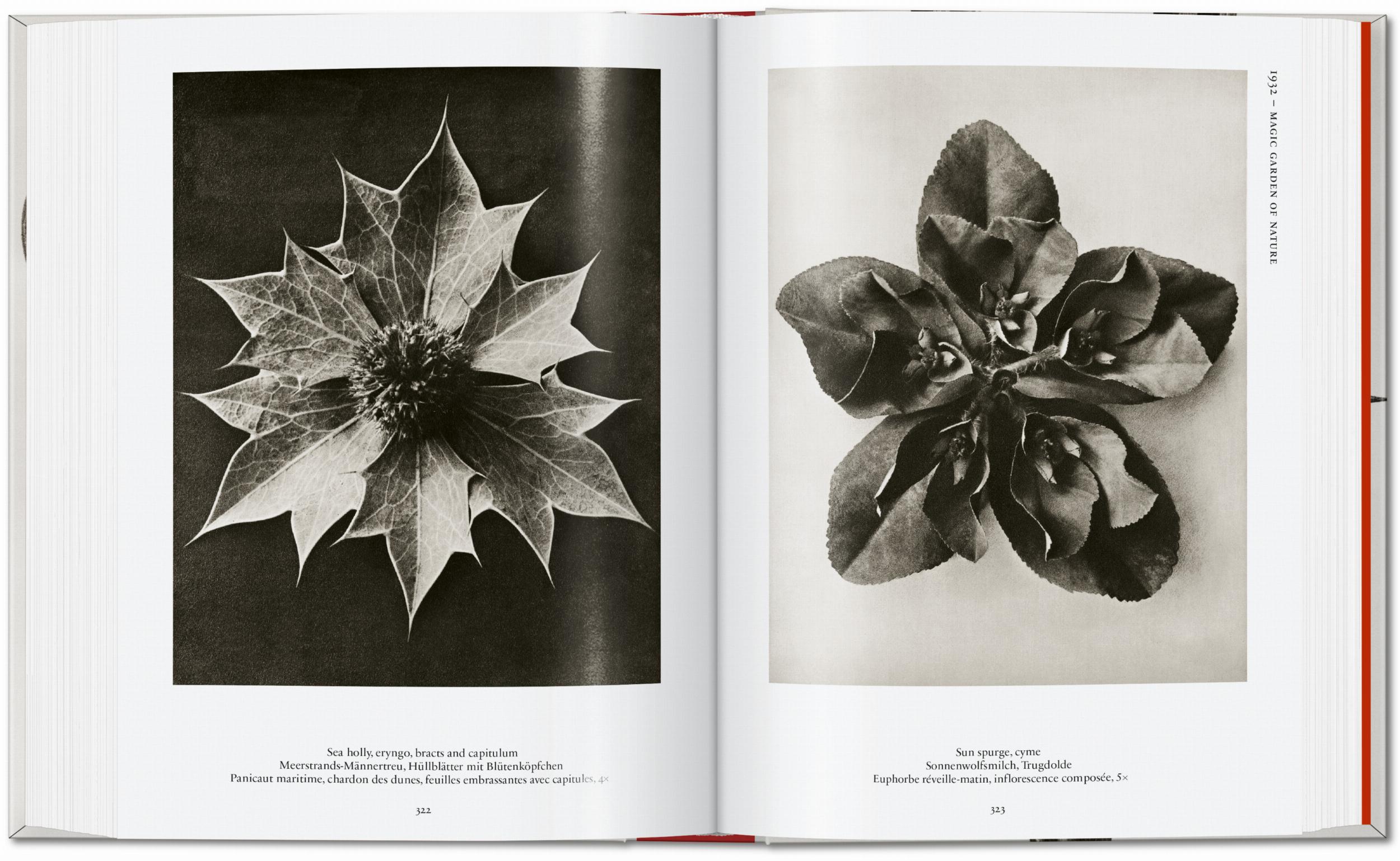Karl Blossfeldt. The Complete Published Work. 45th Ed.