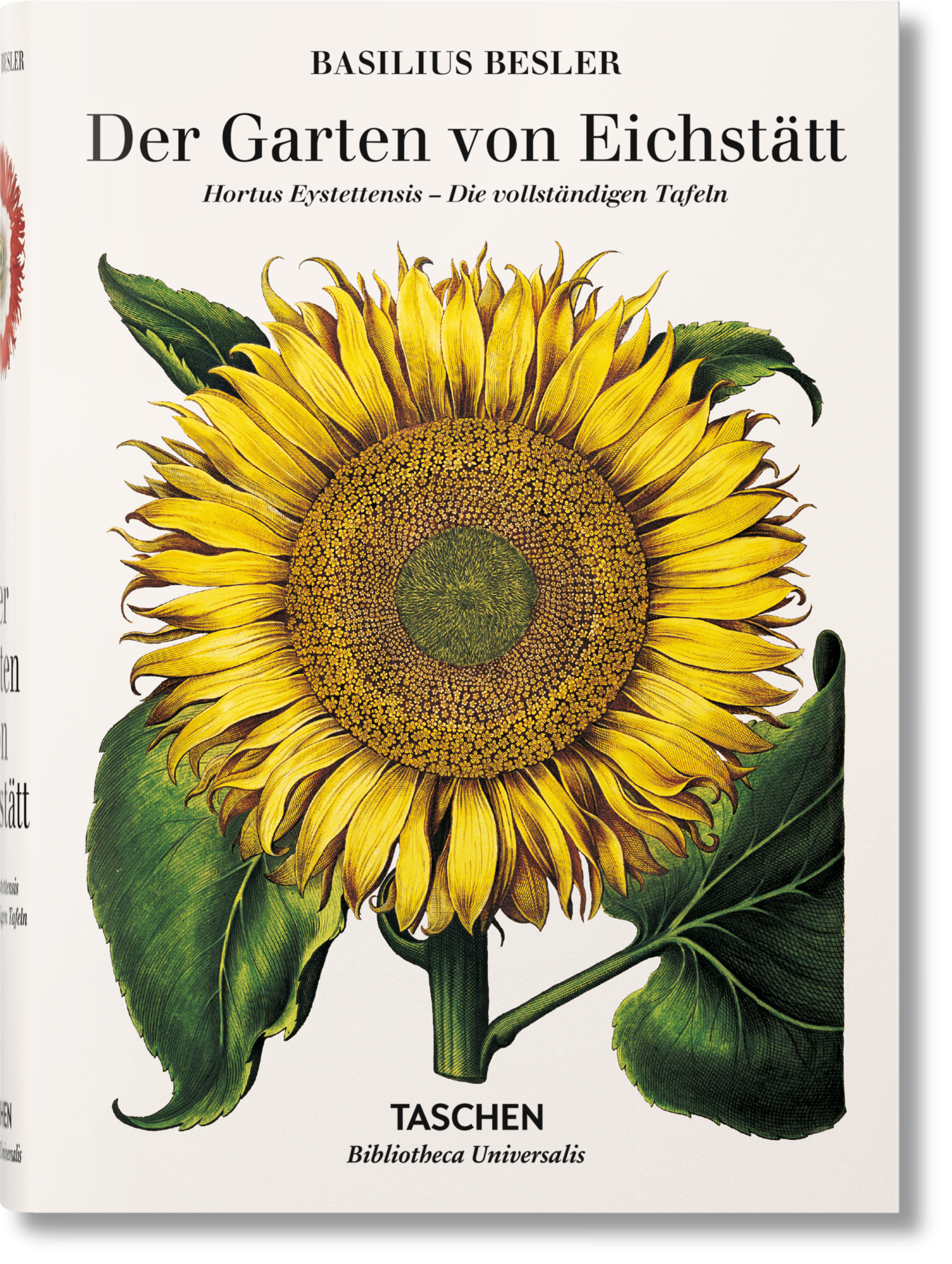 Basilius Besler Der Garten von Eichstätt Hortus Eystettensis