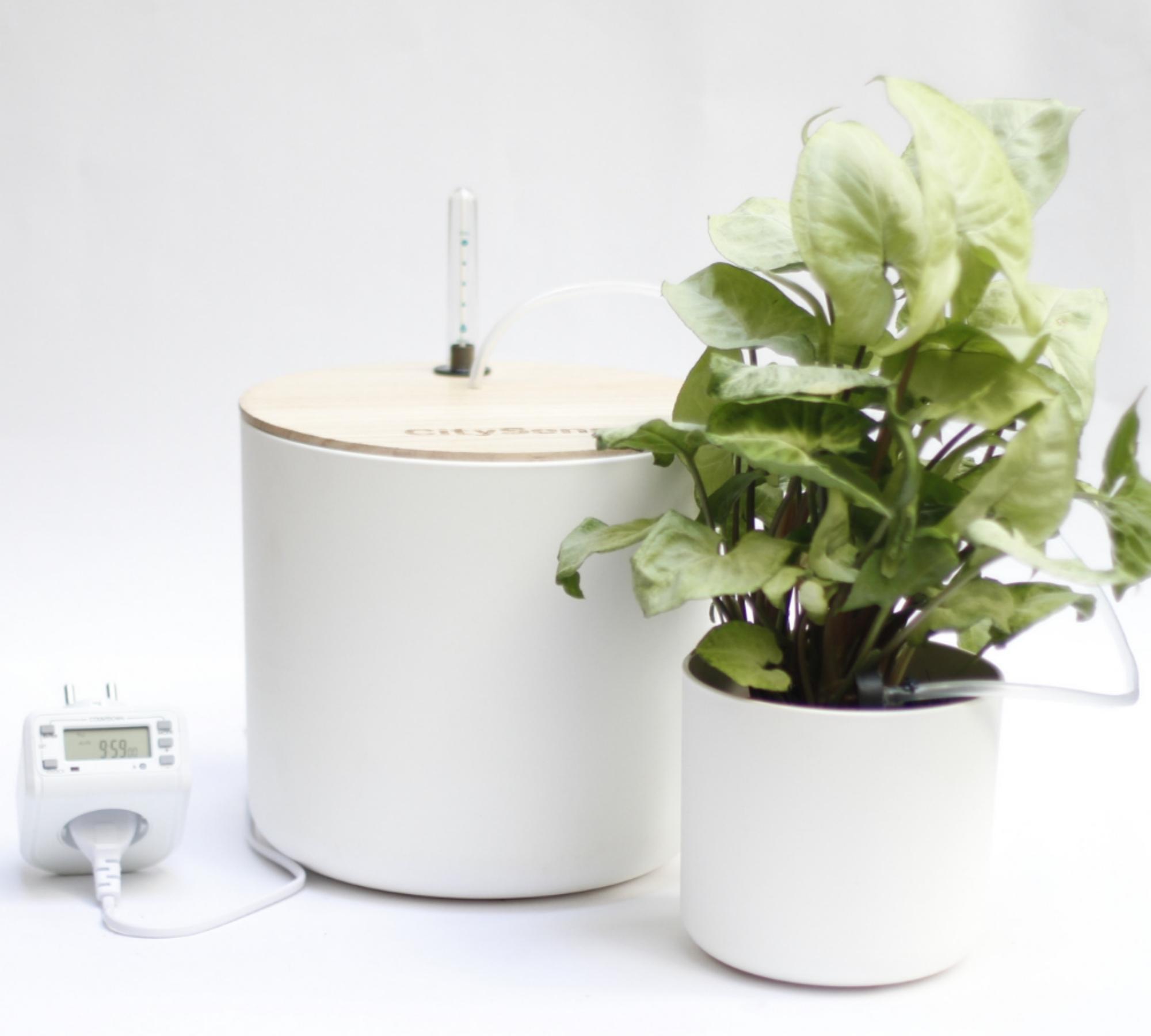 Automatic drip irrigation for plants White