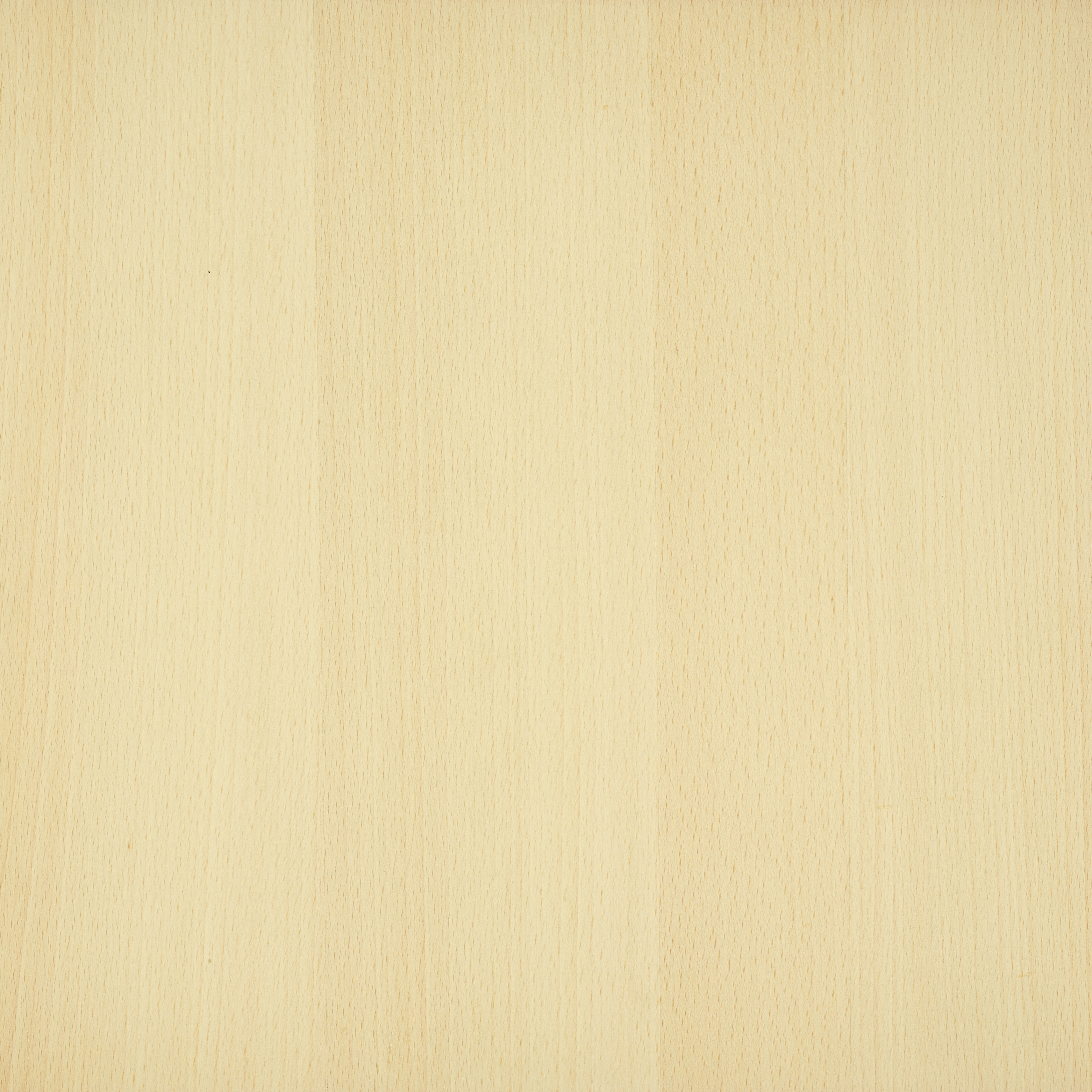 MISTRAL Key Rack Hornbeam Lacquered