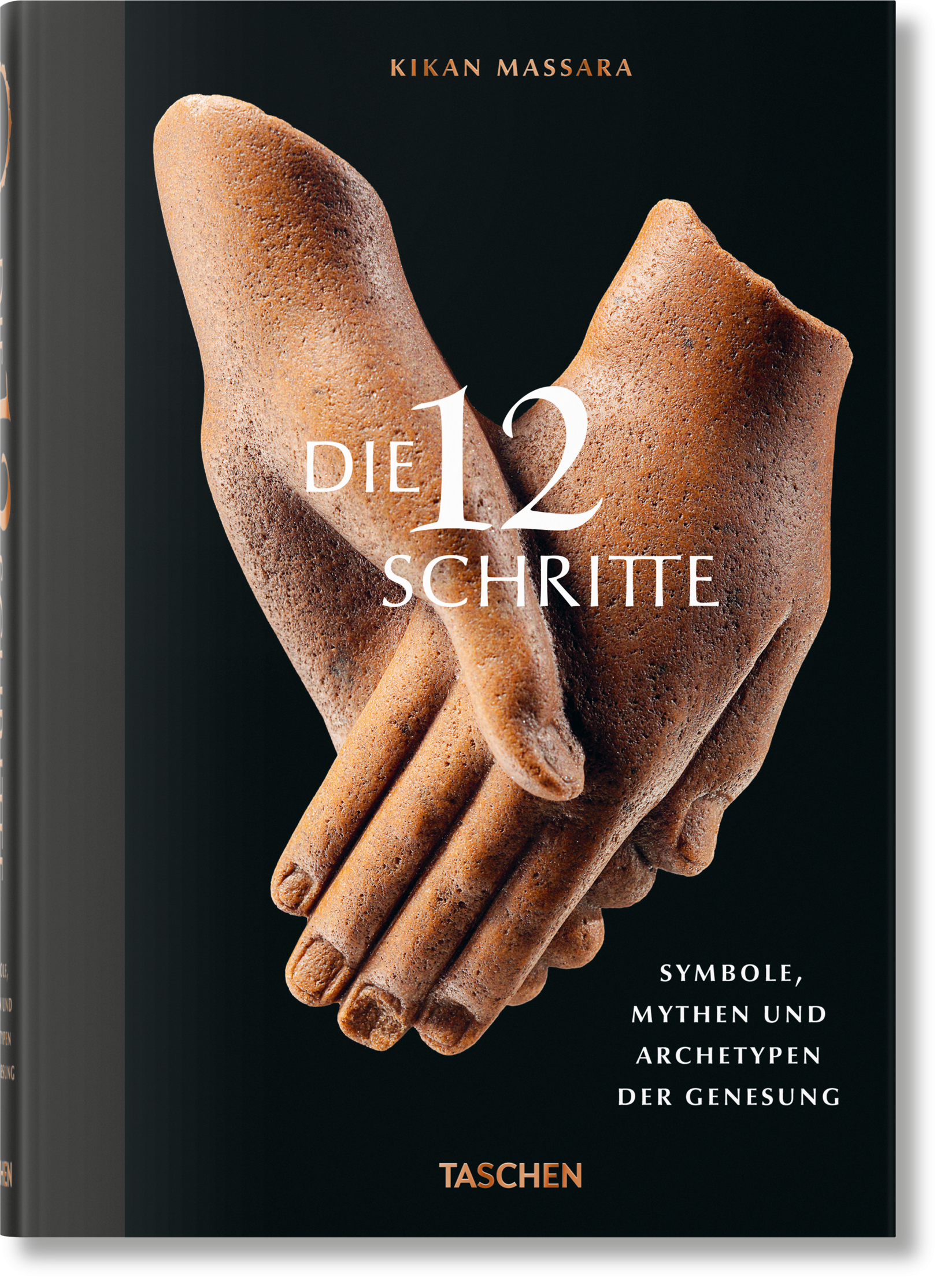 Die 12 Schritte. Symbole, Mythen und Archetypen der Genesung