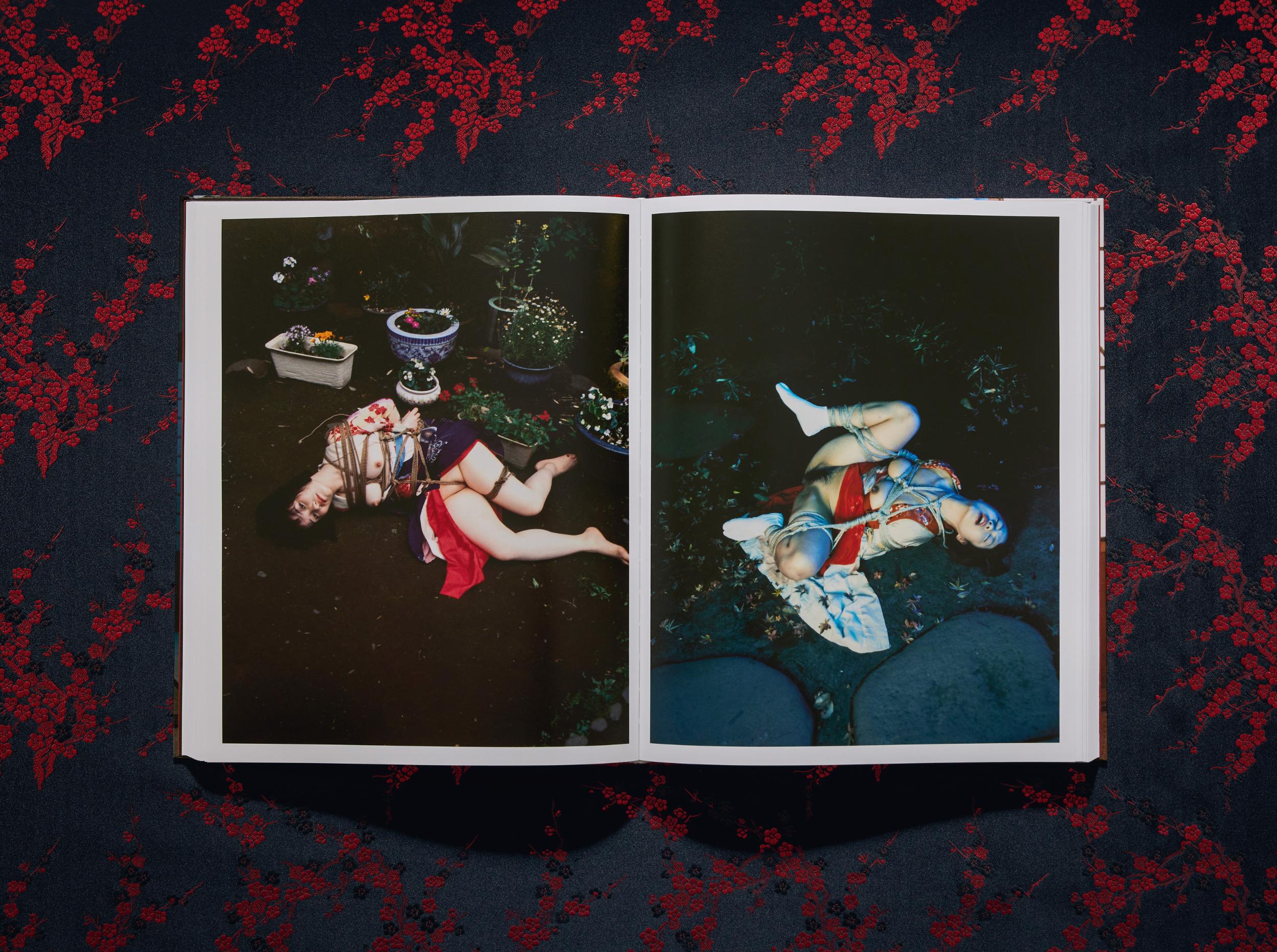 Araki. Bondage