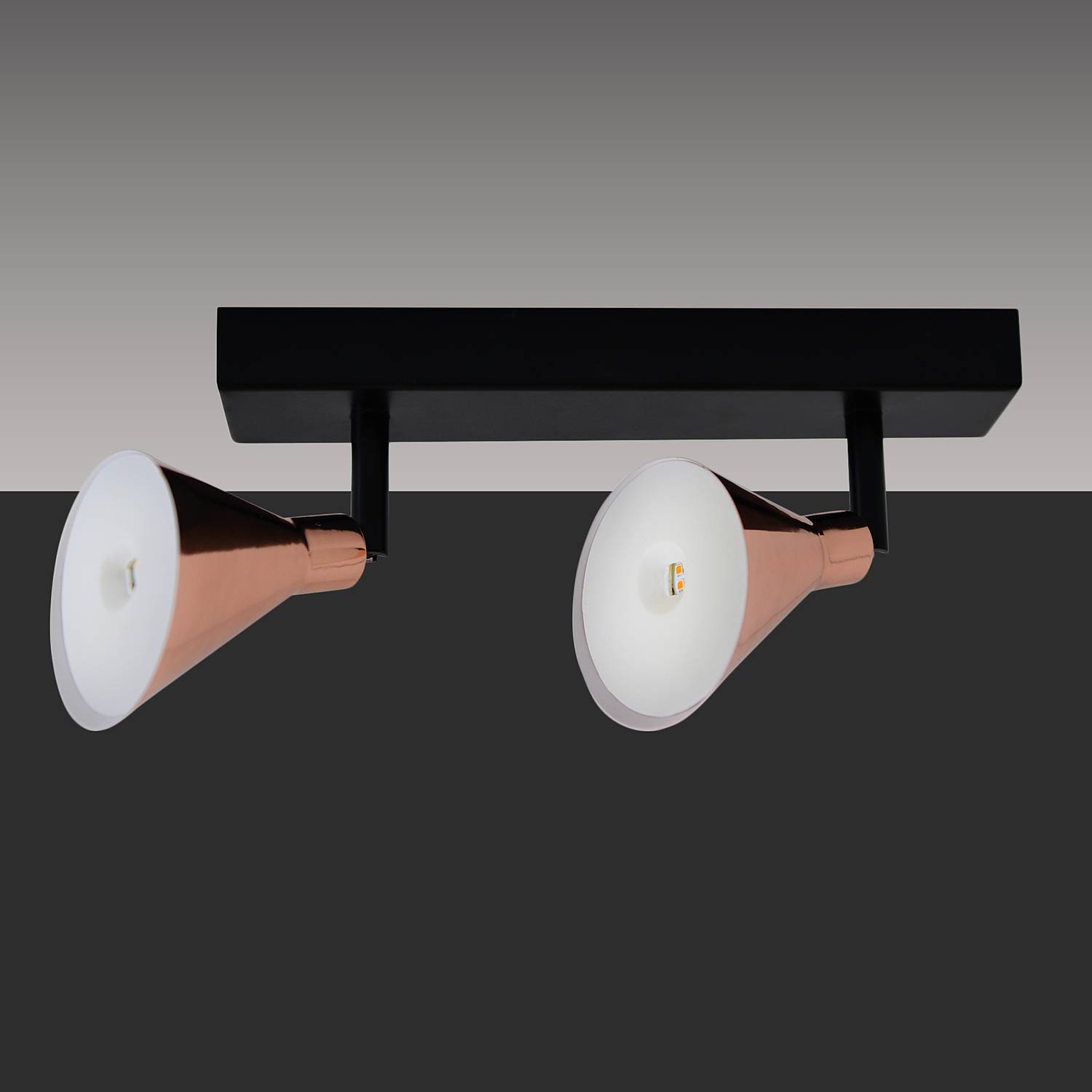 Cooper LED Ceiling Light 2-Light Black