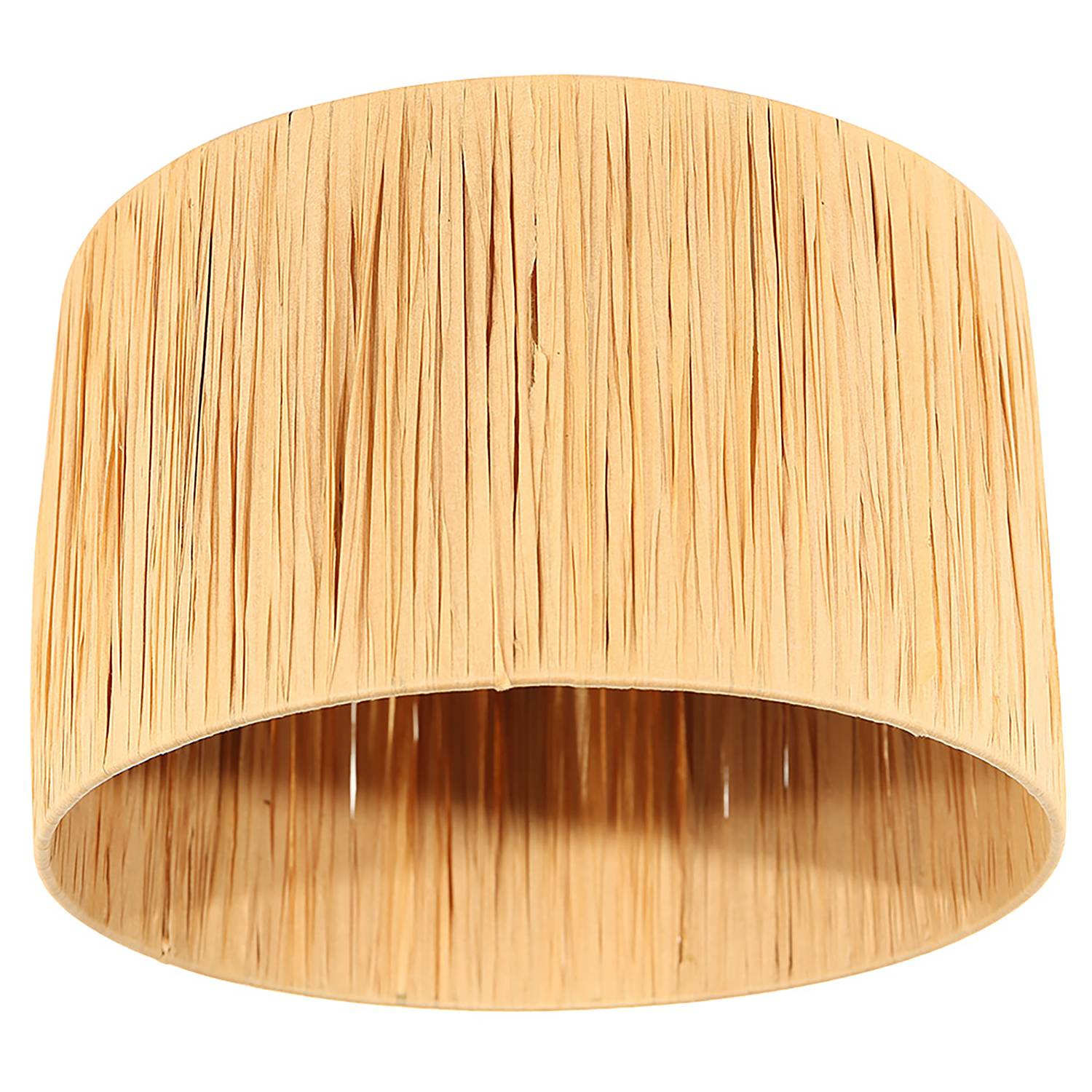 Lampshade Type A Plant Grass Brown