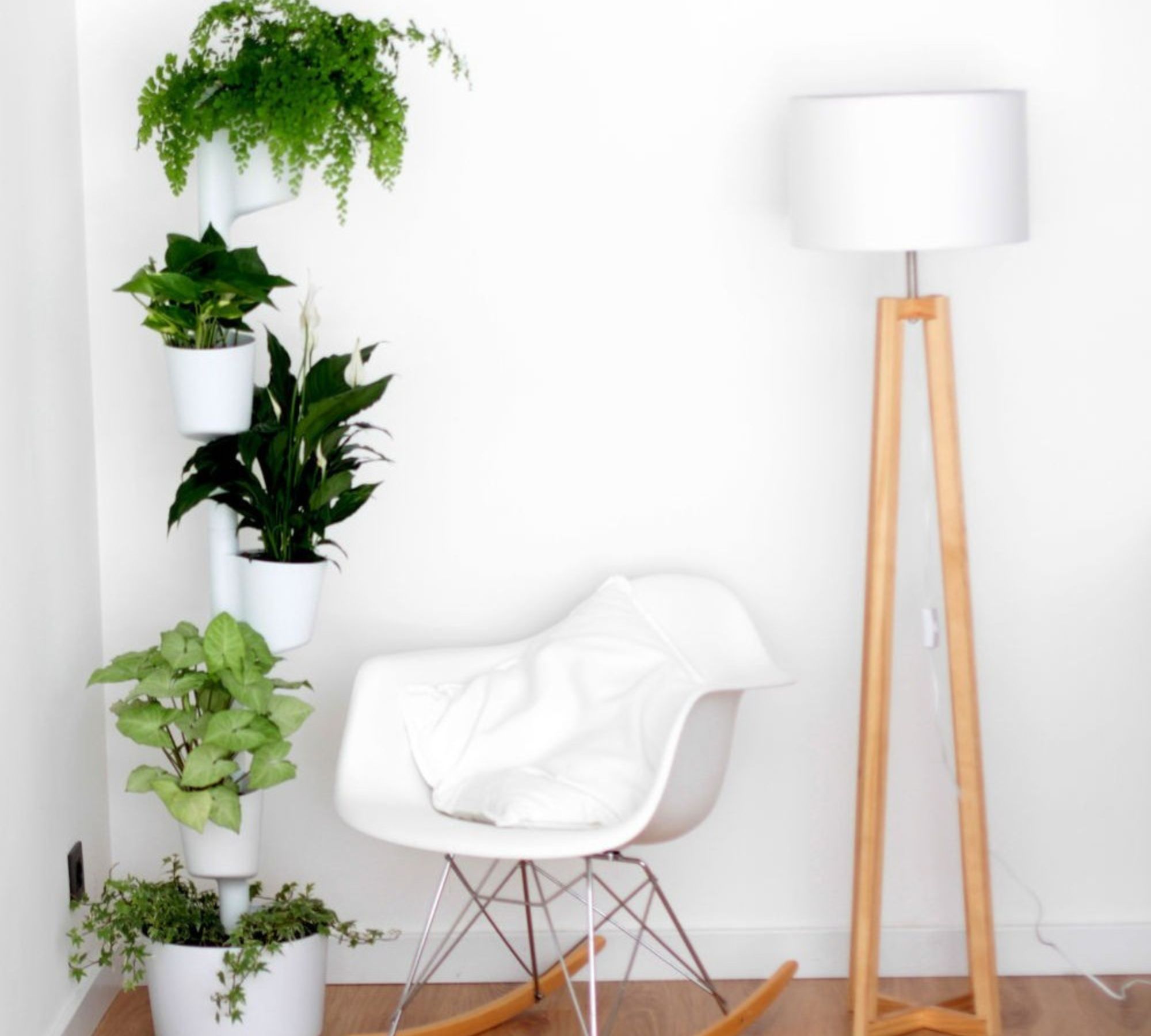 Design Award: Pine Wood Planter Black