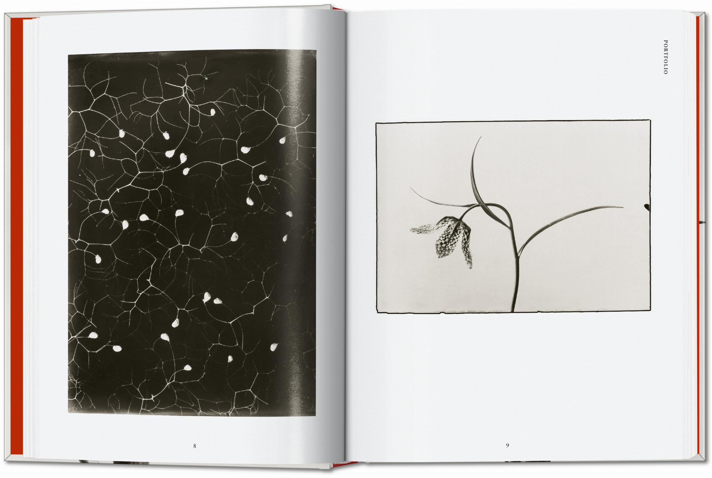 Karl Blossfeldt. The Complete Published Work. 45th Ed.