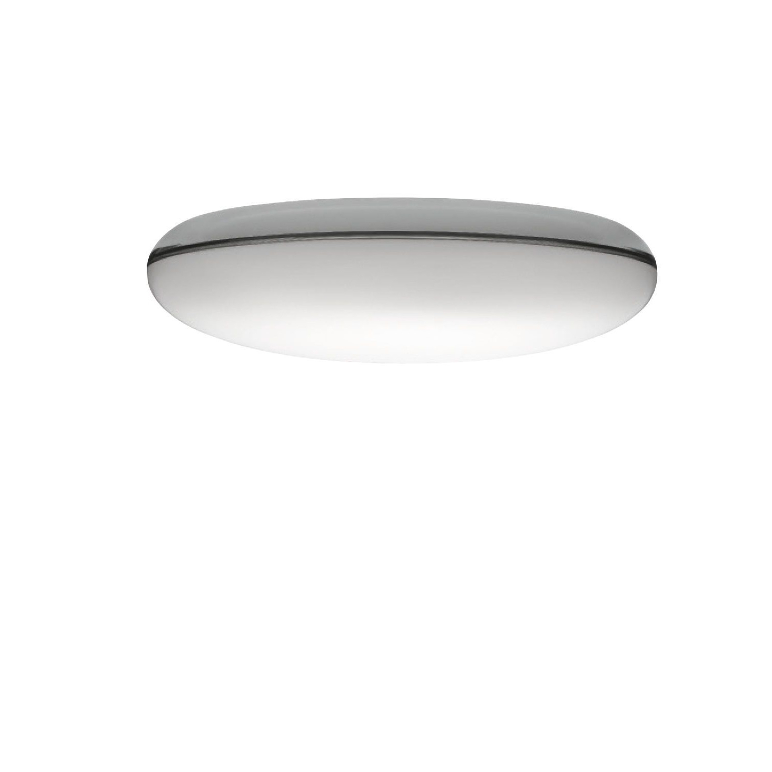 Silverback Decken/Wandleuchte Silber