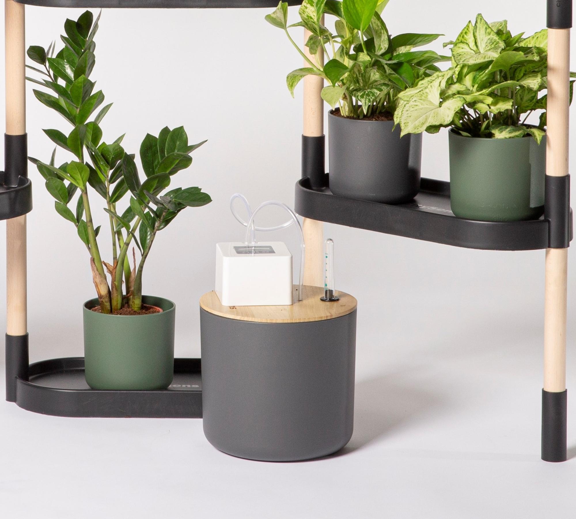 Summer Must-Have: Automatische Tropfbewässerung Anthrazit