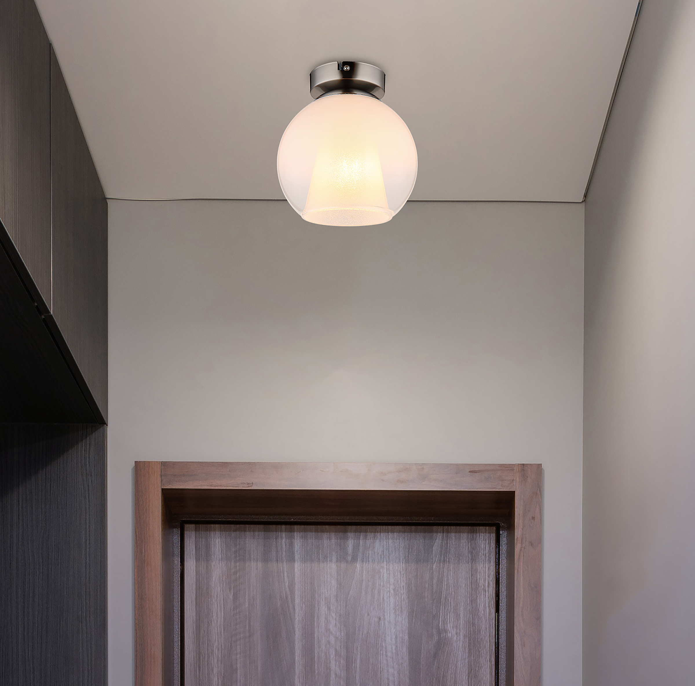 Barry Type D Ceiling Lamp Opal Glass Iron 1-Light