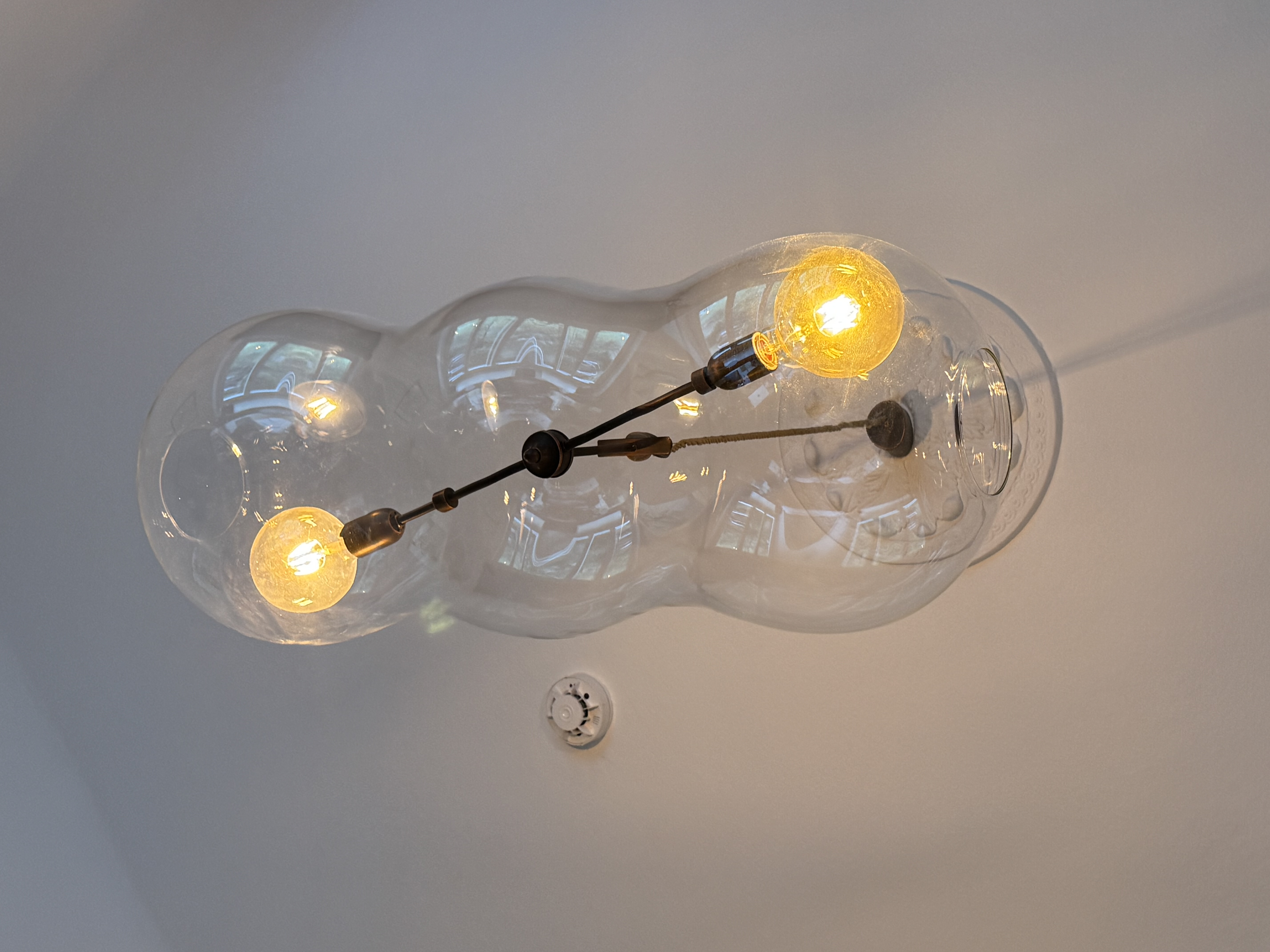 Designer glass pendant lamp organic shape