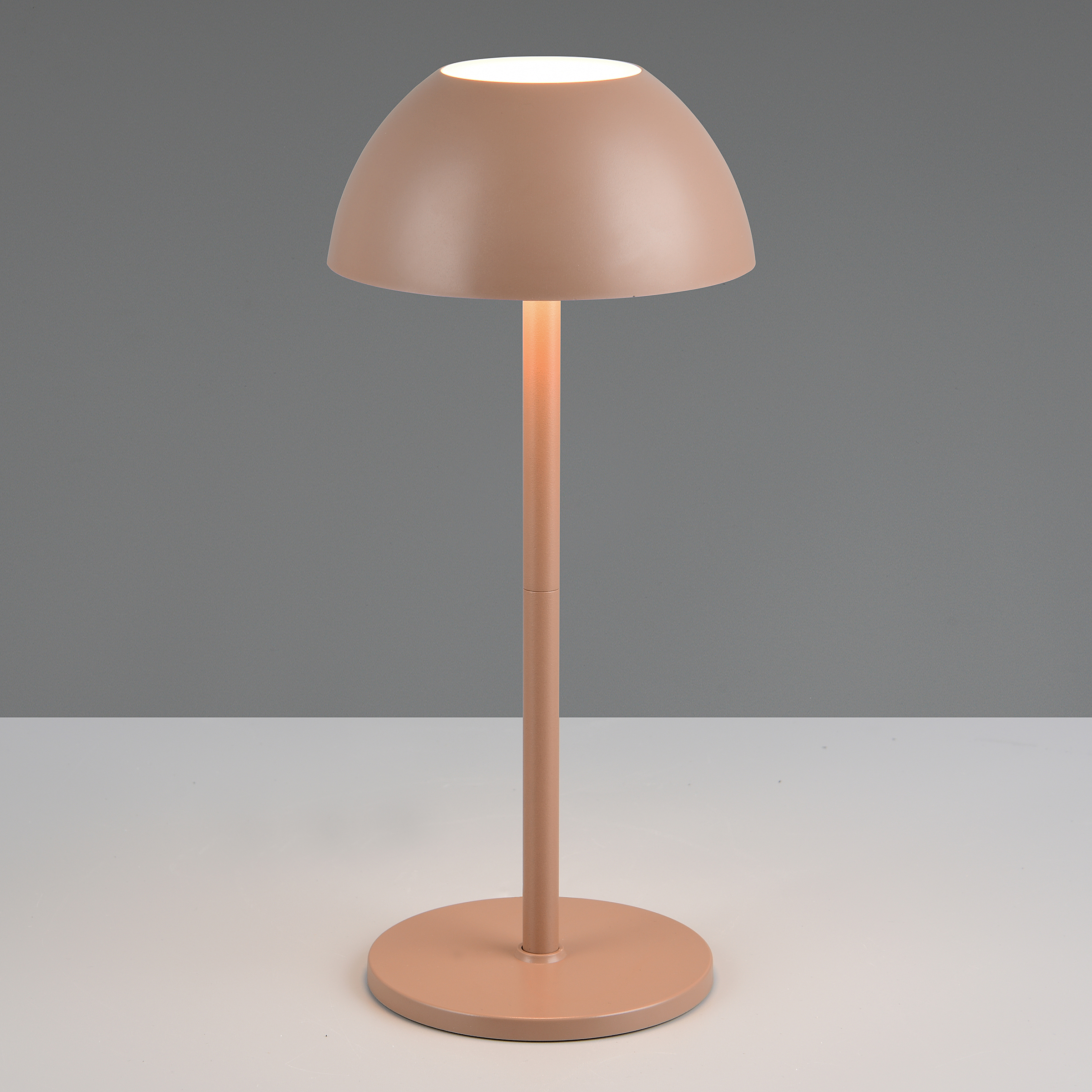 LED Table Lamp Ricardo 1-Light ABS