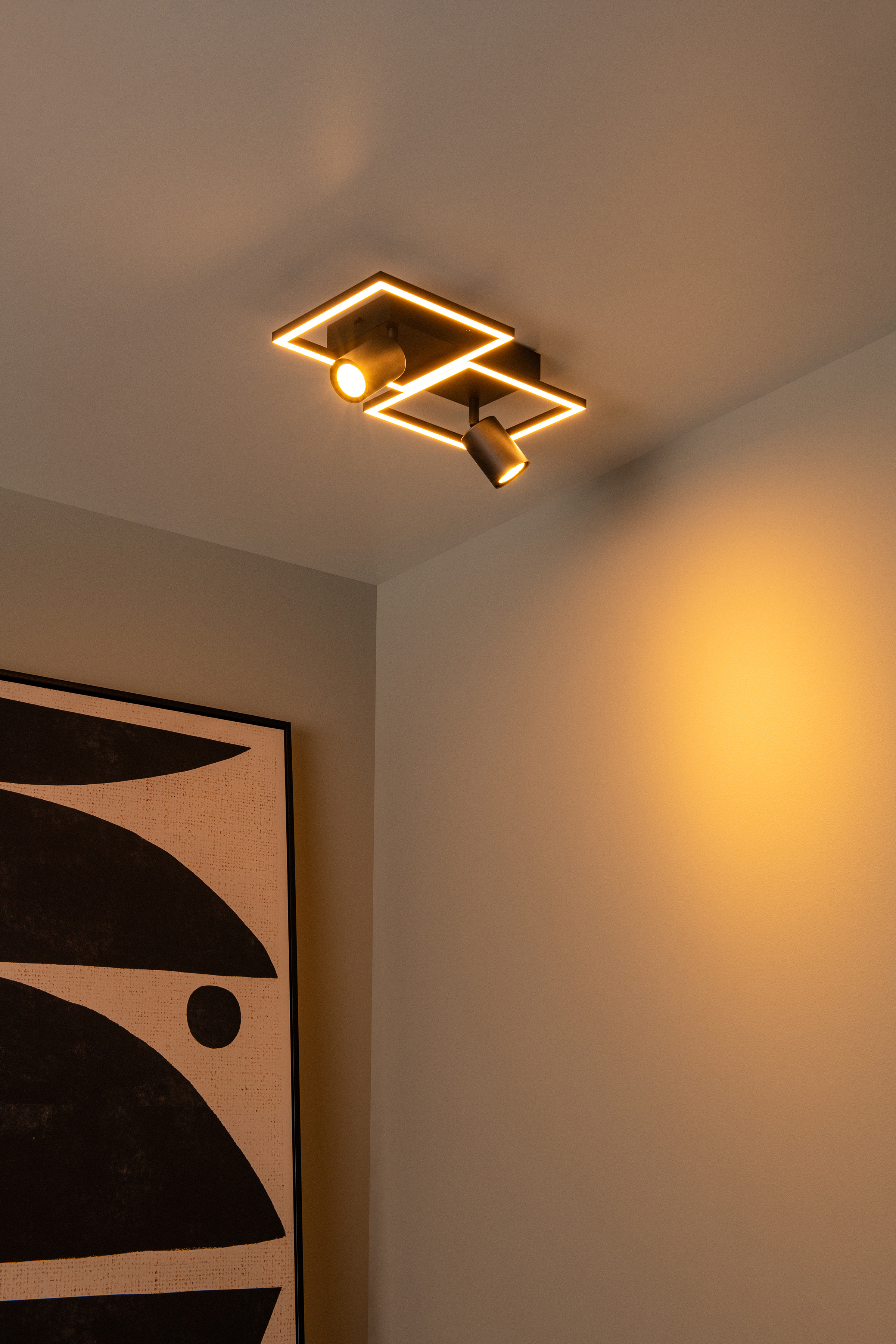 Arianne Type A Ceiling Light Aluminium Black