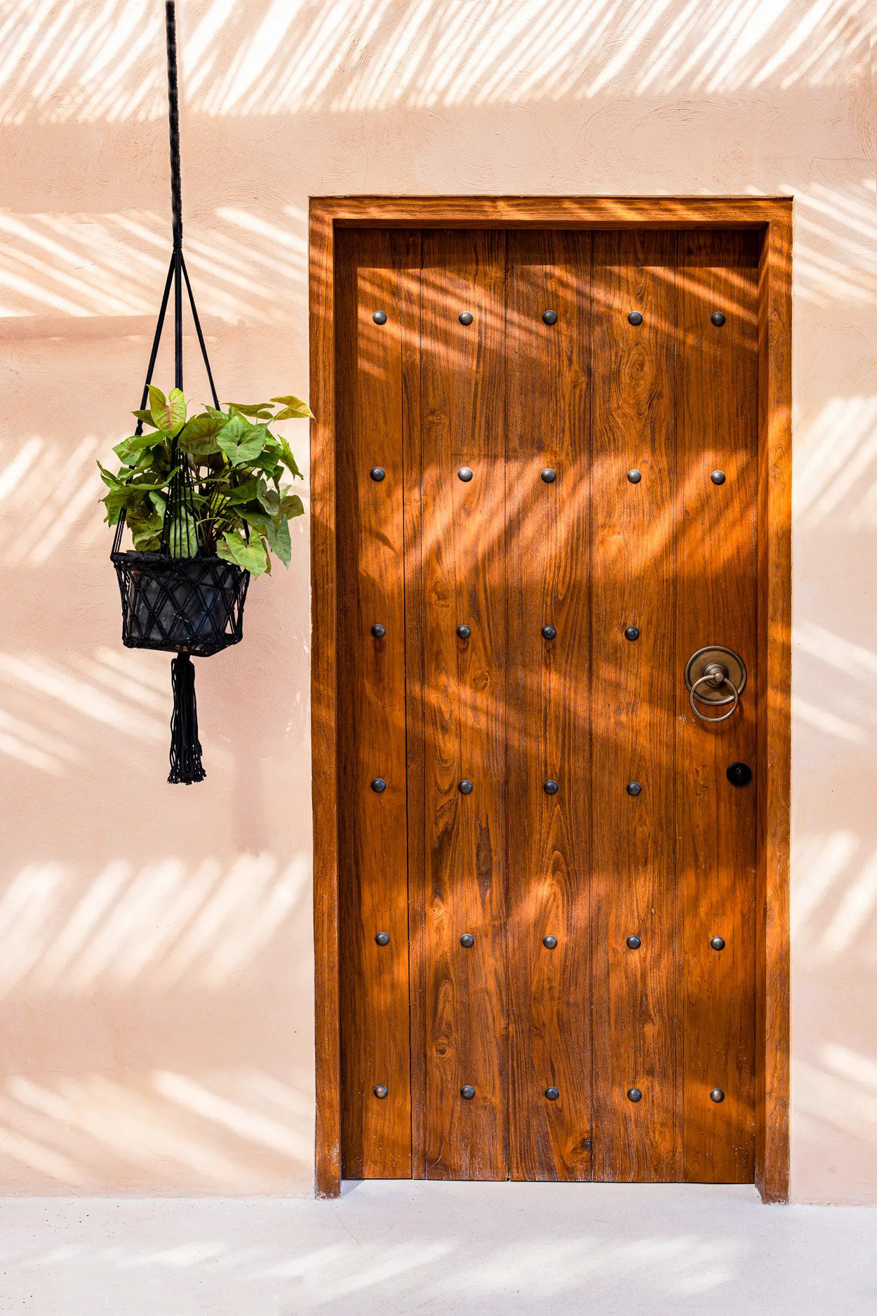 Macrame Plant Hanger Black