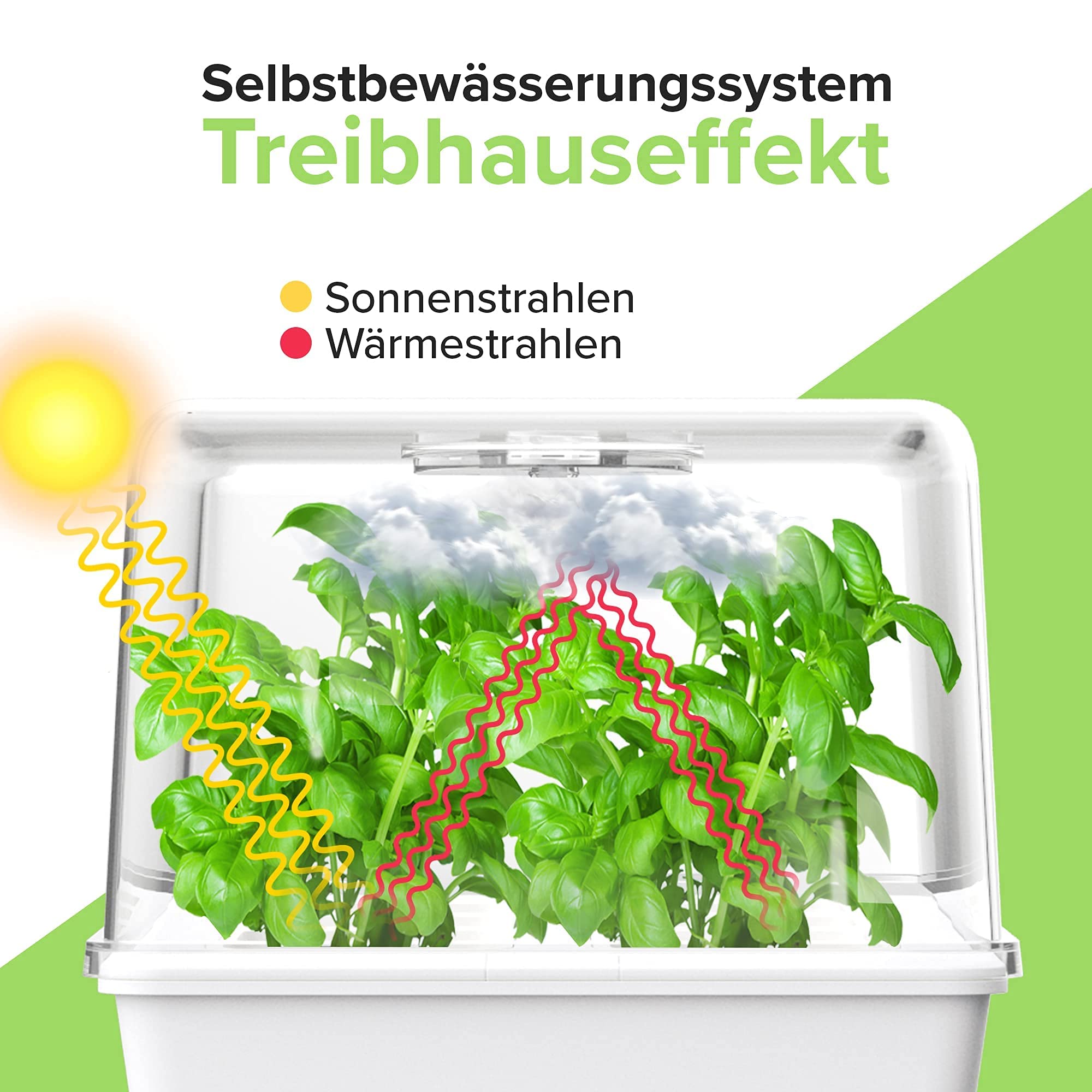 Zimmergewächshaus inkl. Anzuchtspads