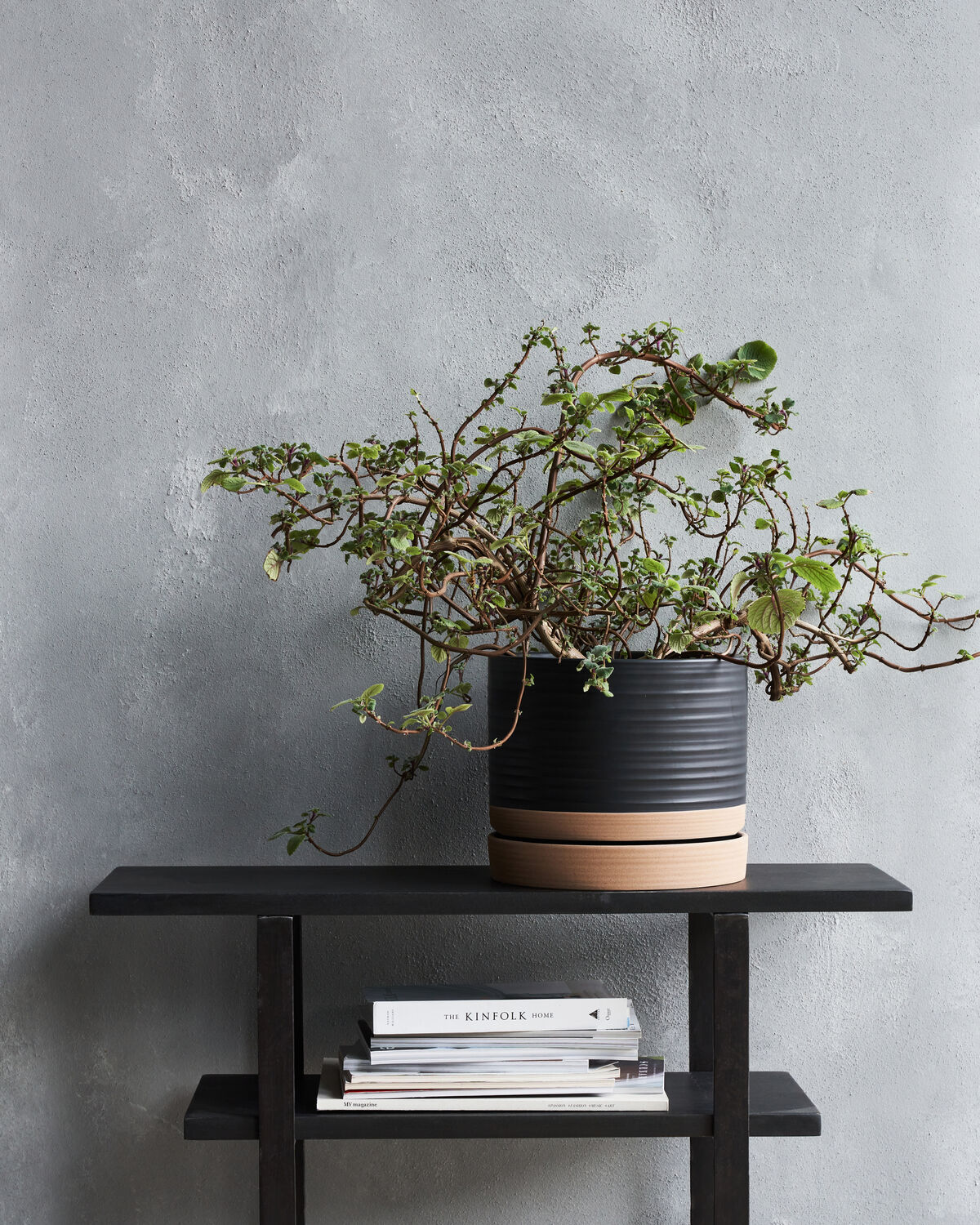2x HDAstu Planters with Saucers Black Nature