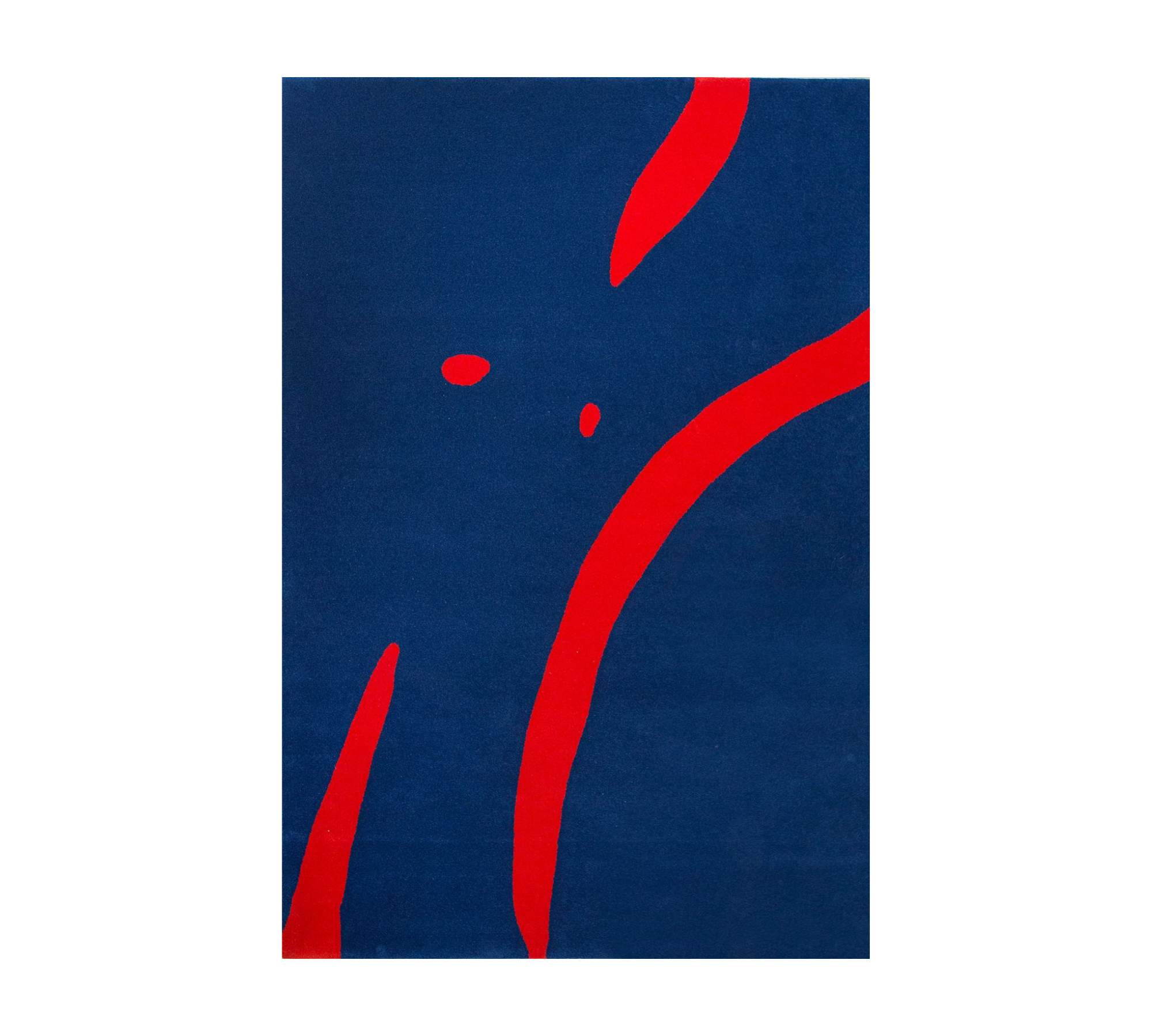 Handgetufteter Wollteppich Blau Rot 170 x 240 cm