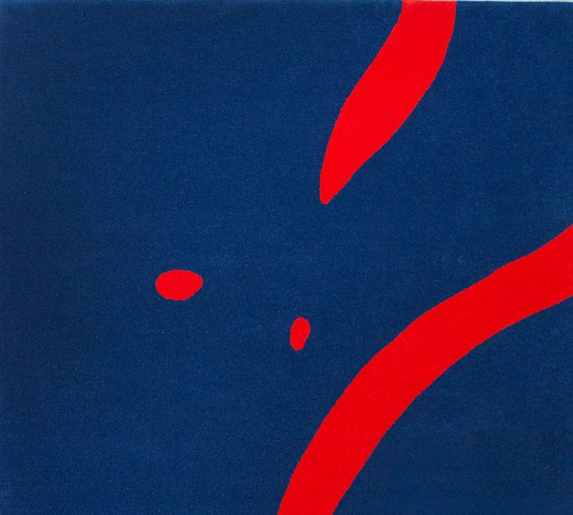 Handgetufteter Wollteppich Blau Rot 170 x 240 cm