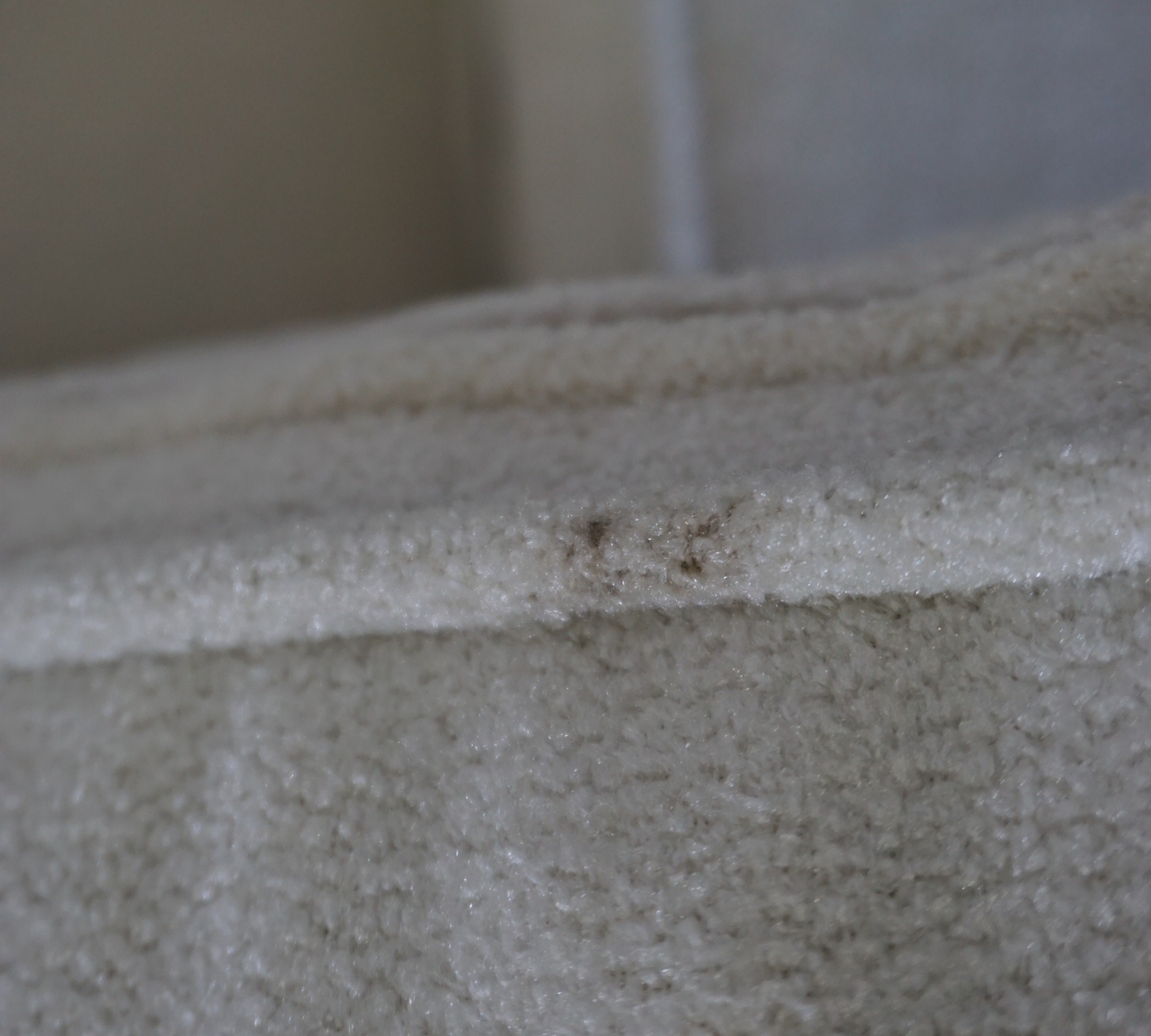 Lima Sessel Creme mit goldenen Beinen