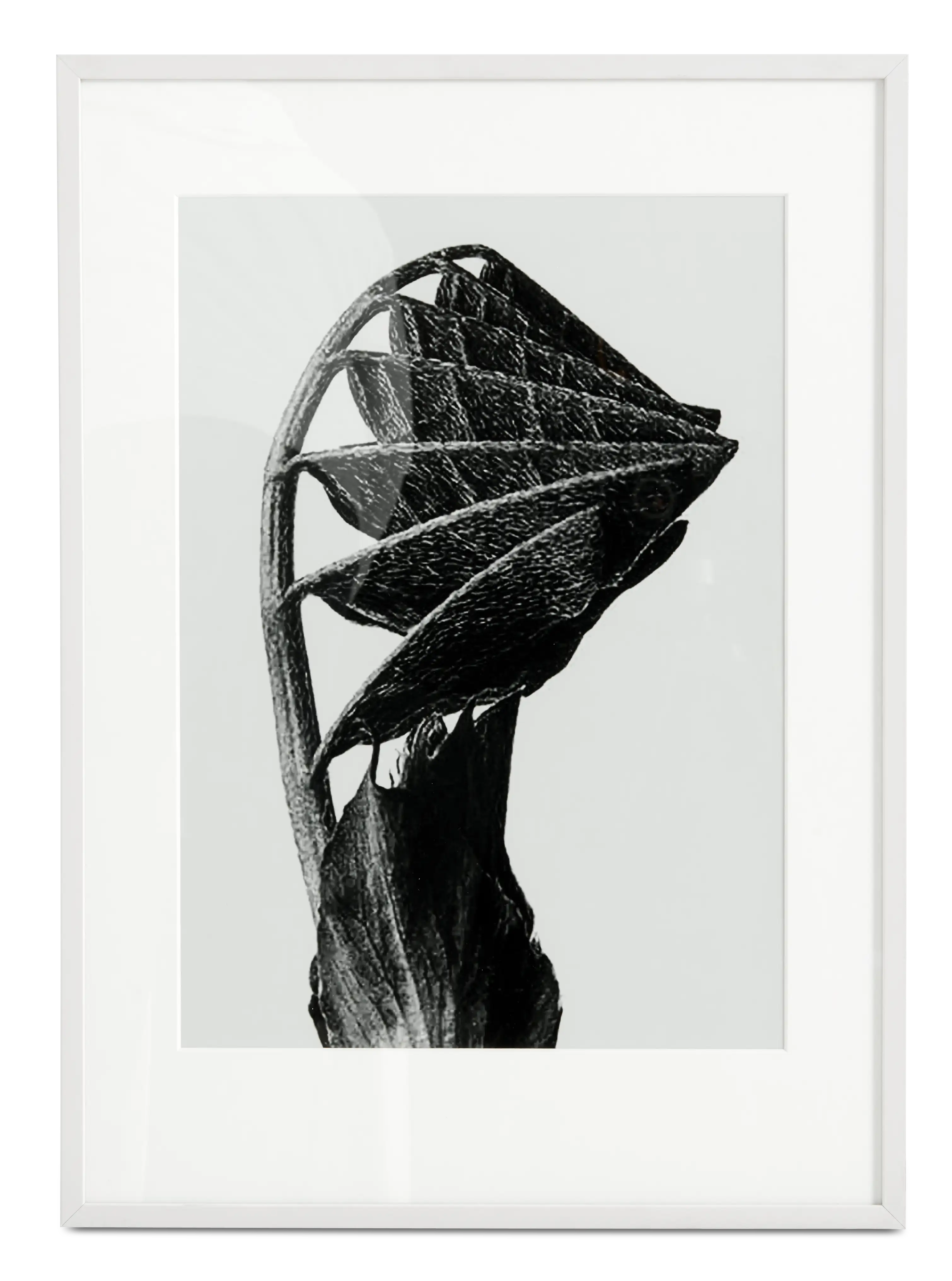 Nature Form Framed Print Blue Beige Grey