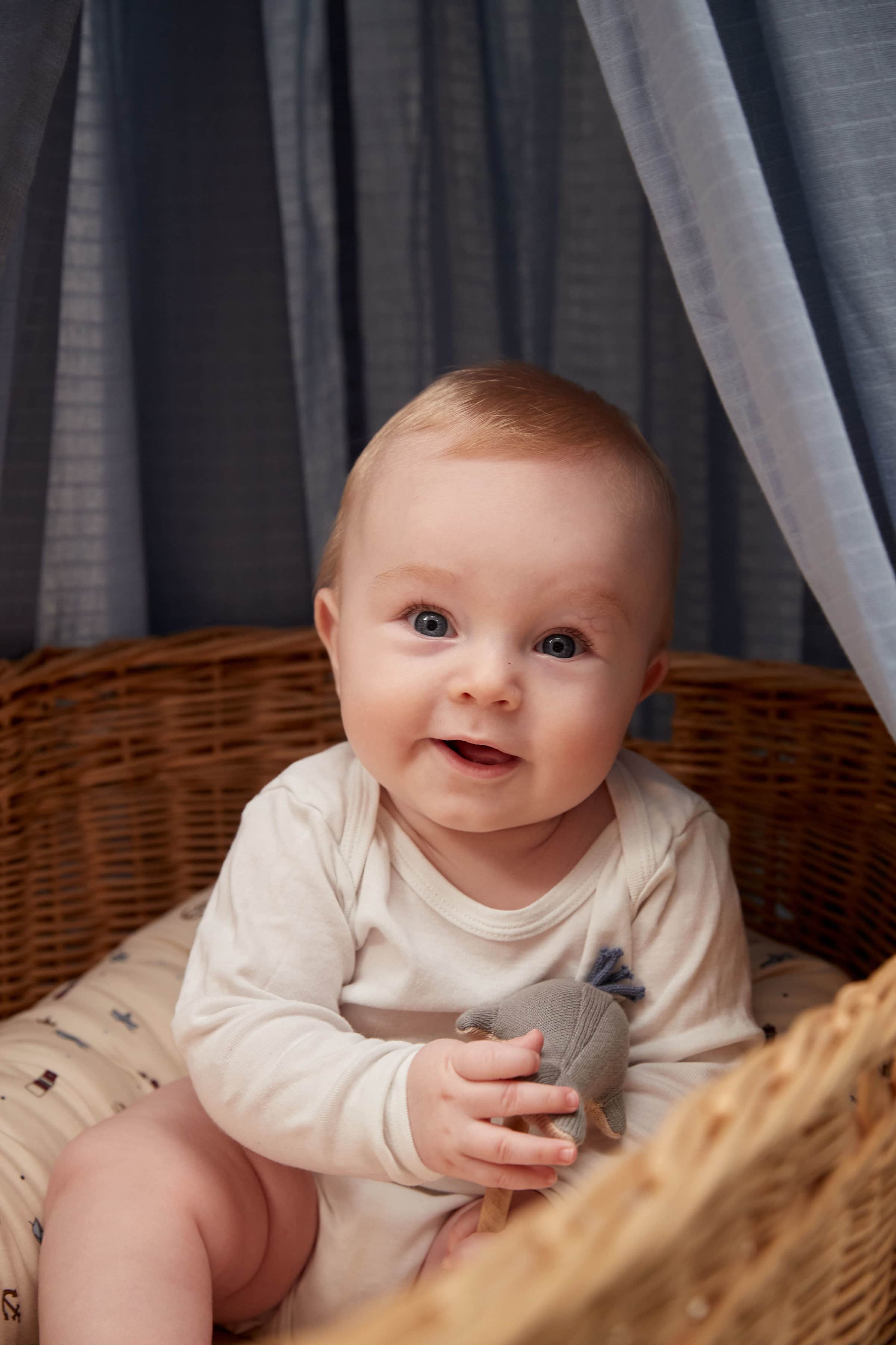 Canopy organic cotton Powder Blue