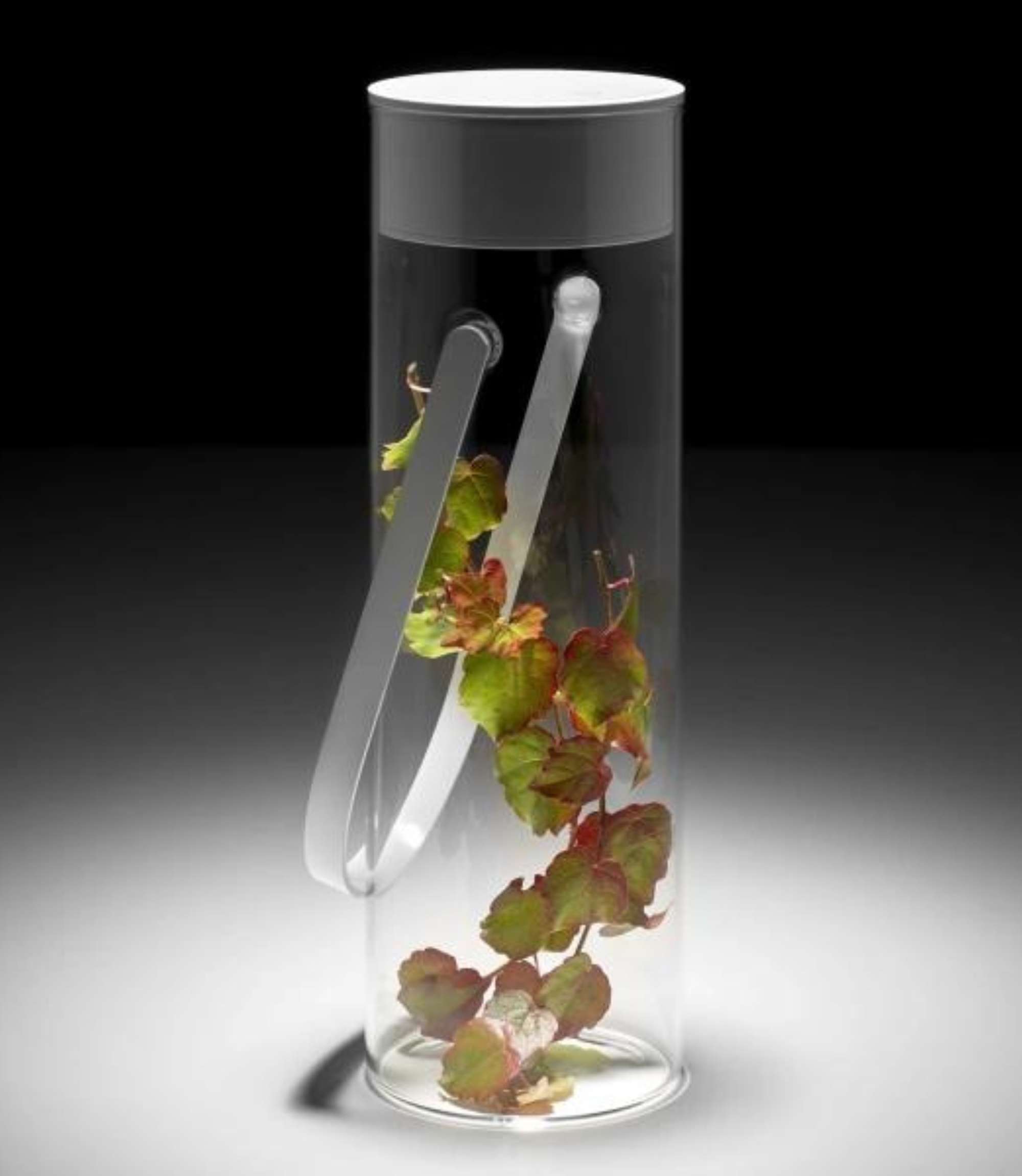 Chiardiluna Akku-Leuchte Glas Metall T1 Grau
