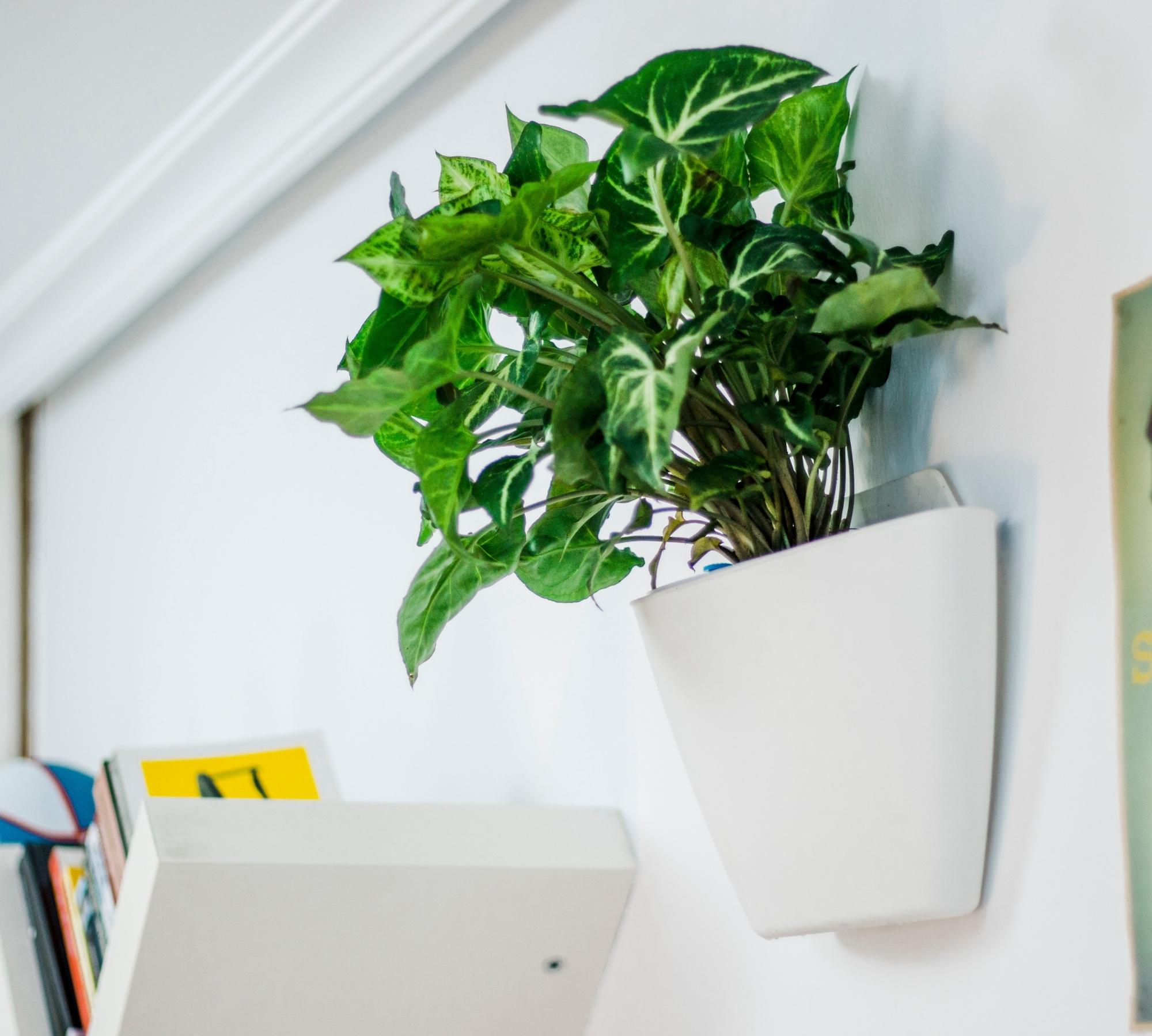 3x Wall flower pot with self-watering White