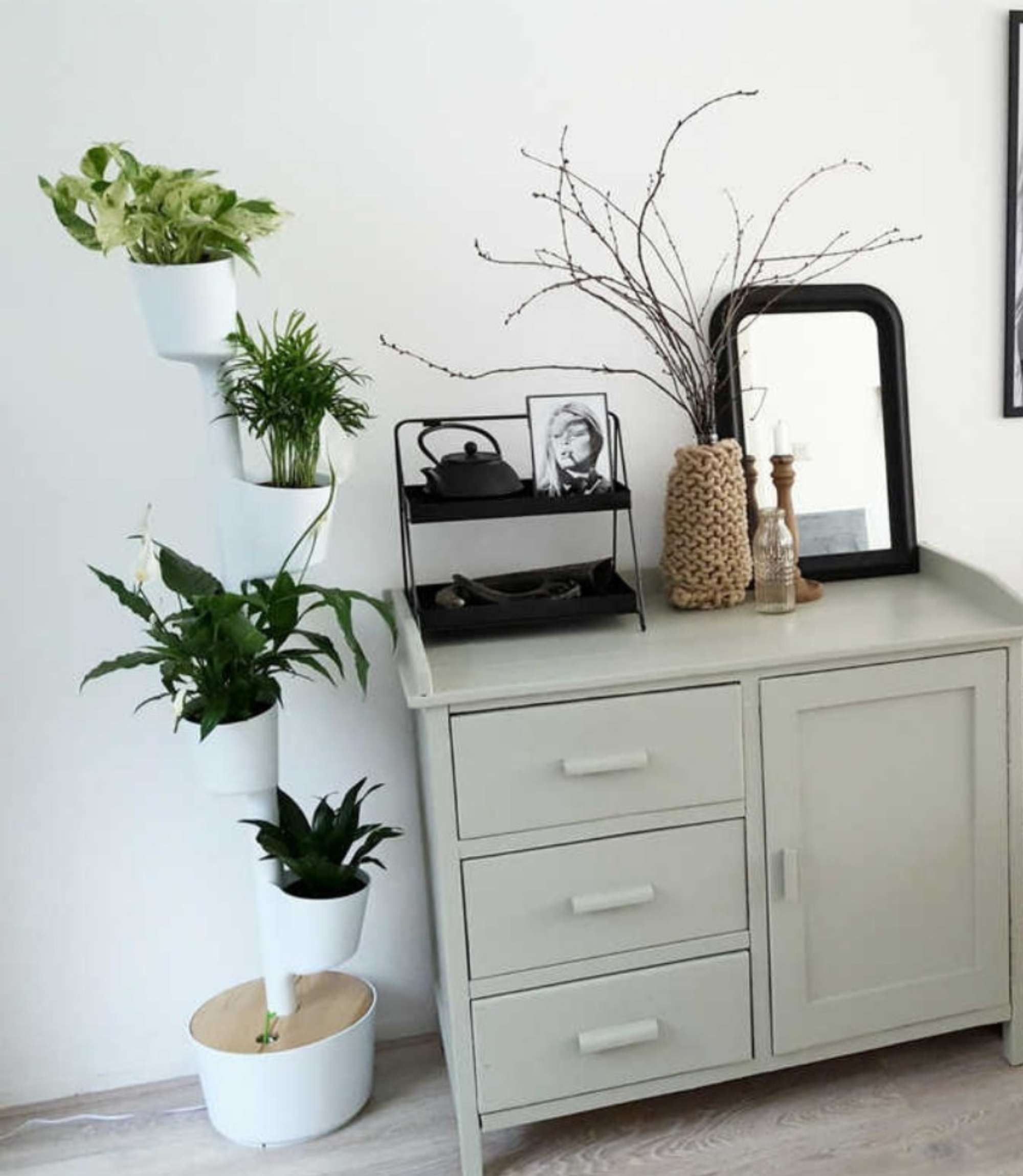 Design Award: Pine wood planting system Smart Irrigation