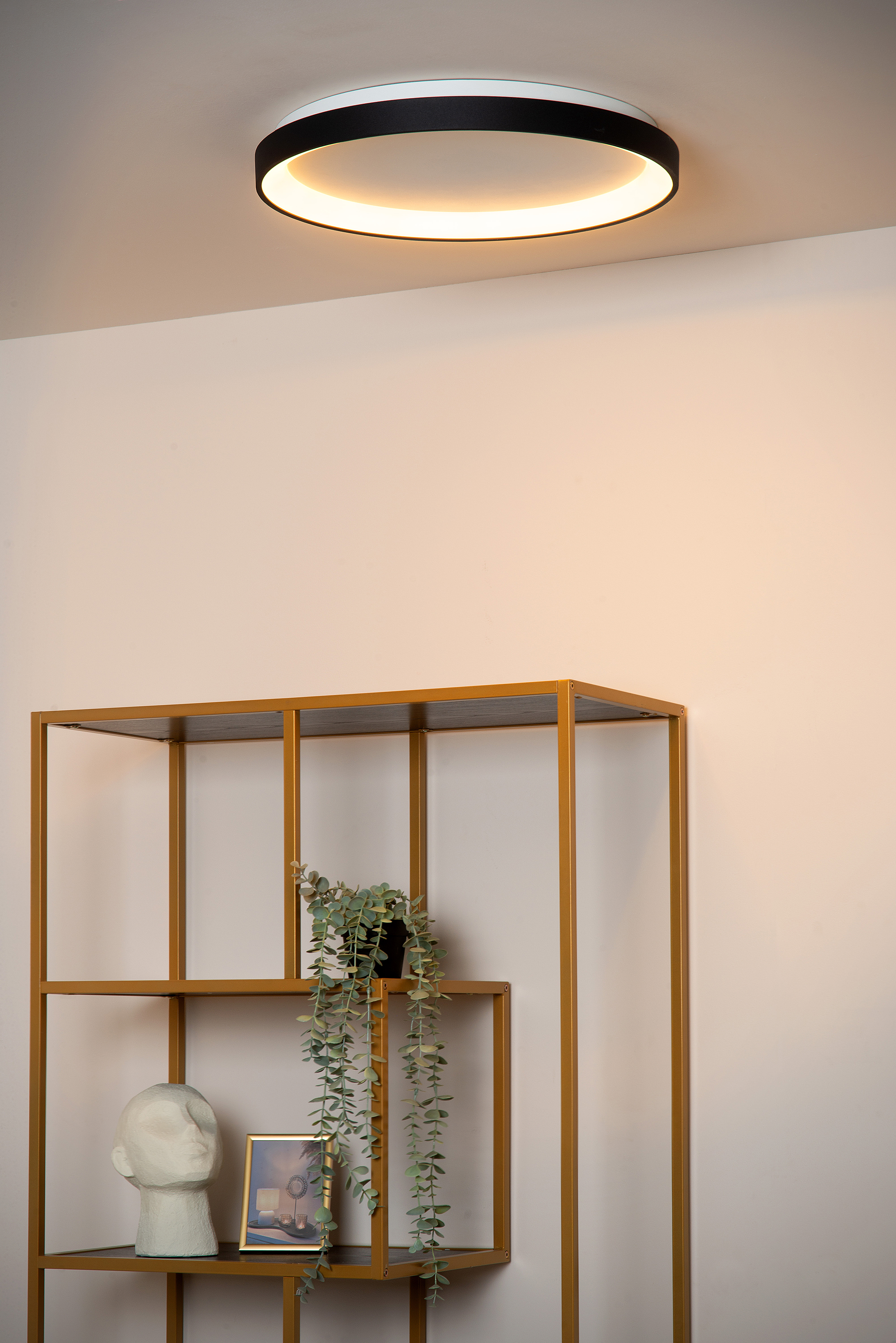 Vidal LED-Deckenleuchte Acrylglas Schwarz Ø48cm