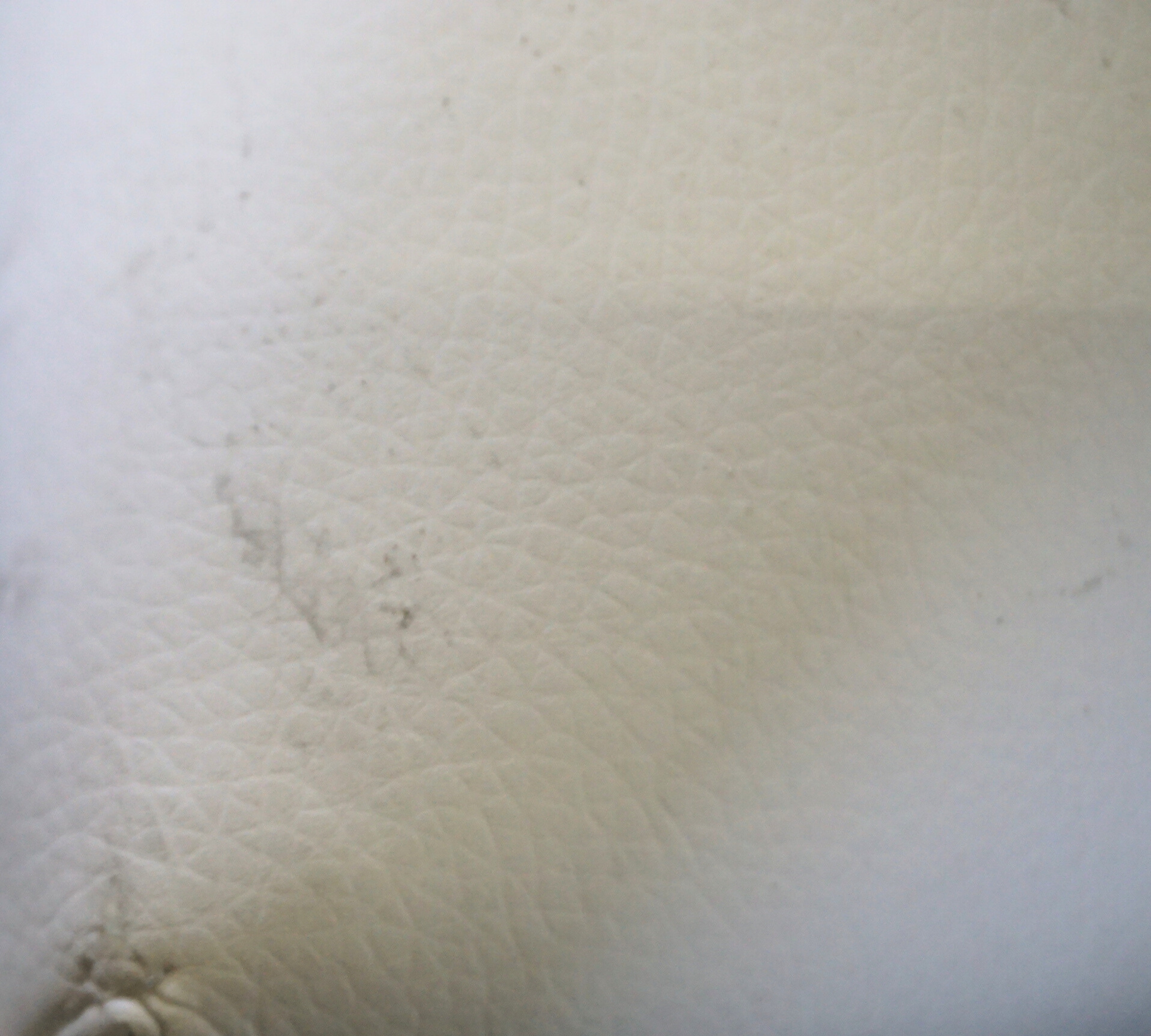 Anna Armchair Leather Beechwood White