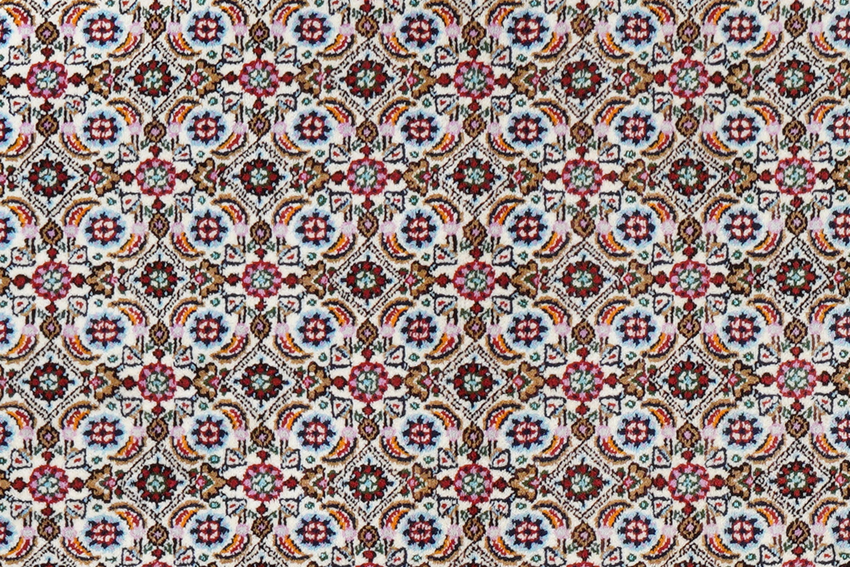 Moud Mahi Carpet Multicolor