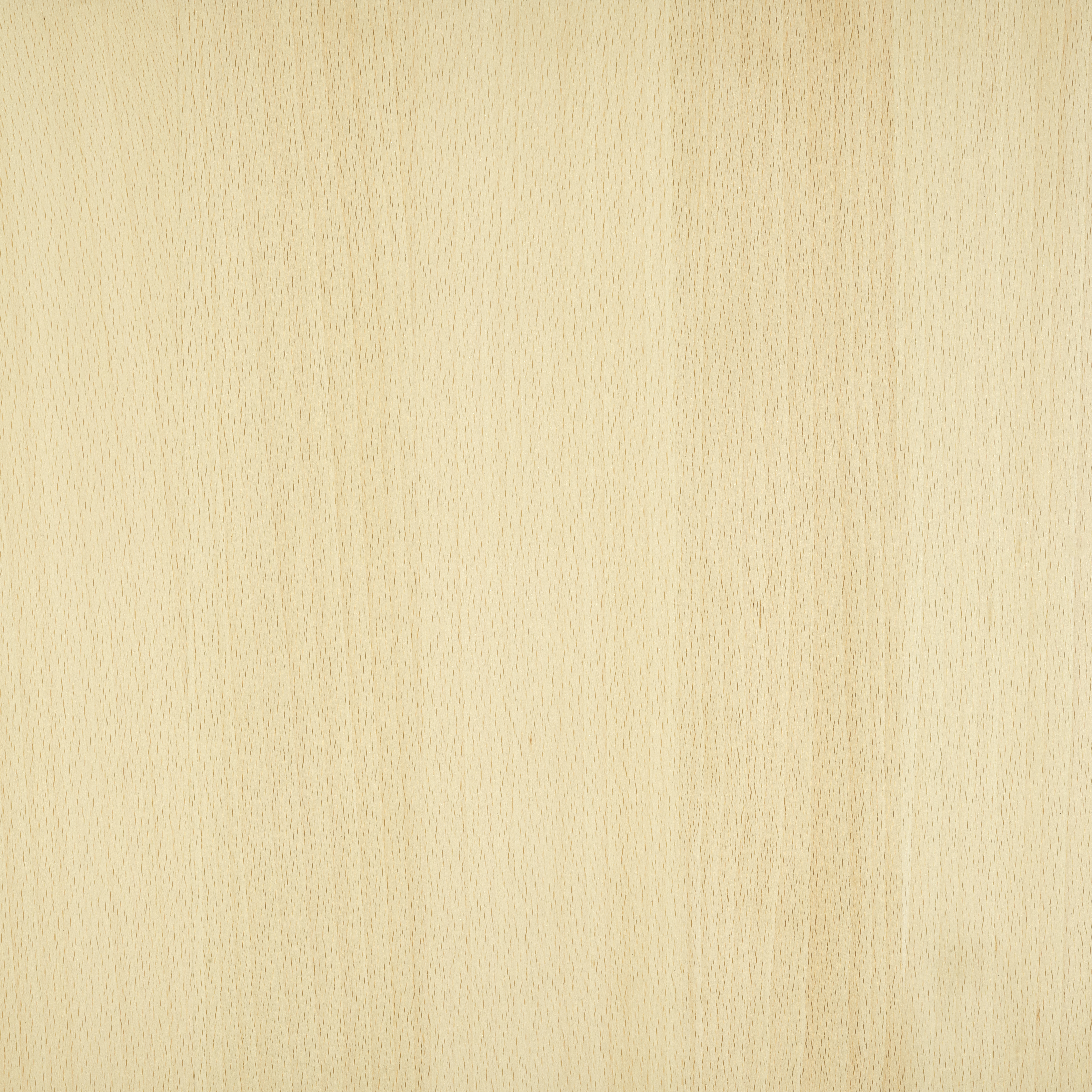 Mistral Desk Large Hornbeam Soaped