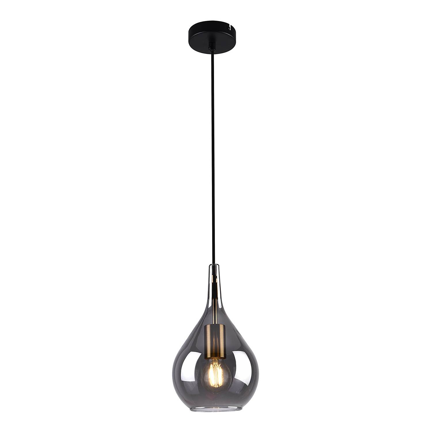 1-Light Gota Type C Pendant Light Smoked Glass Iron