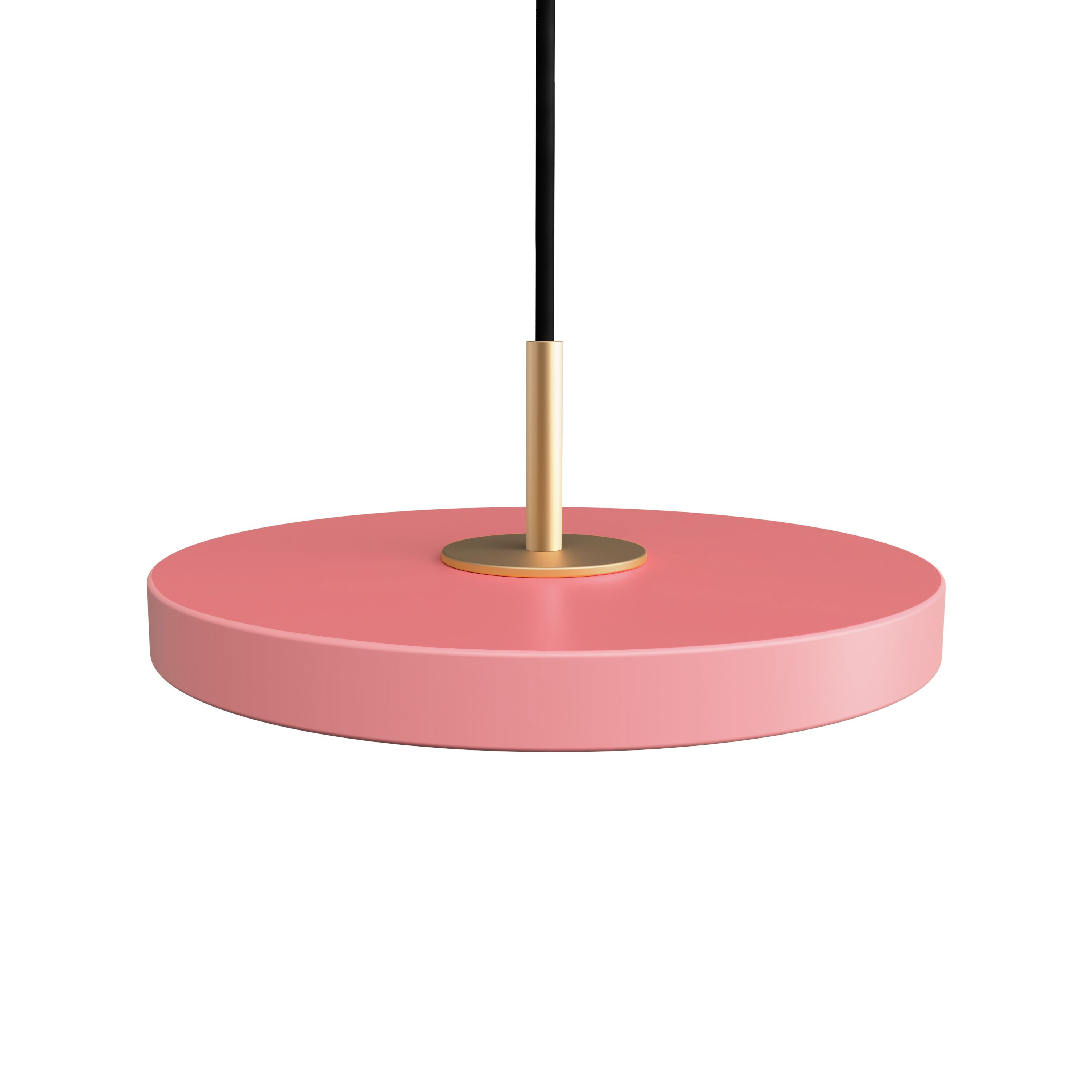 Asteria Micro Pendelleuchte Rosa