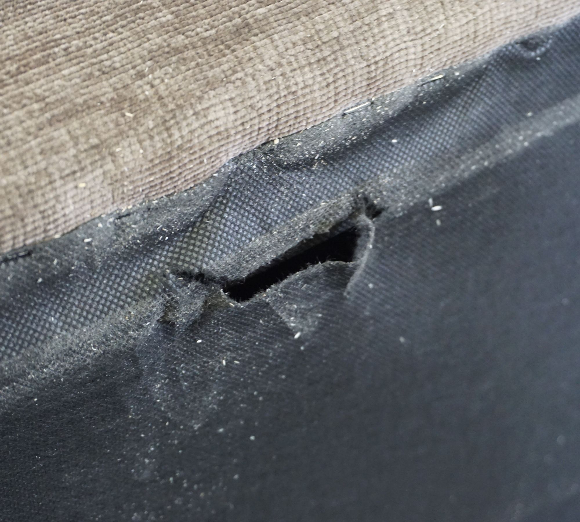Gloria Sofa 3-Sitzer Aulla Cacao