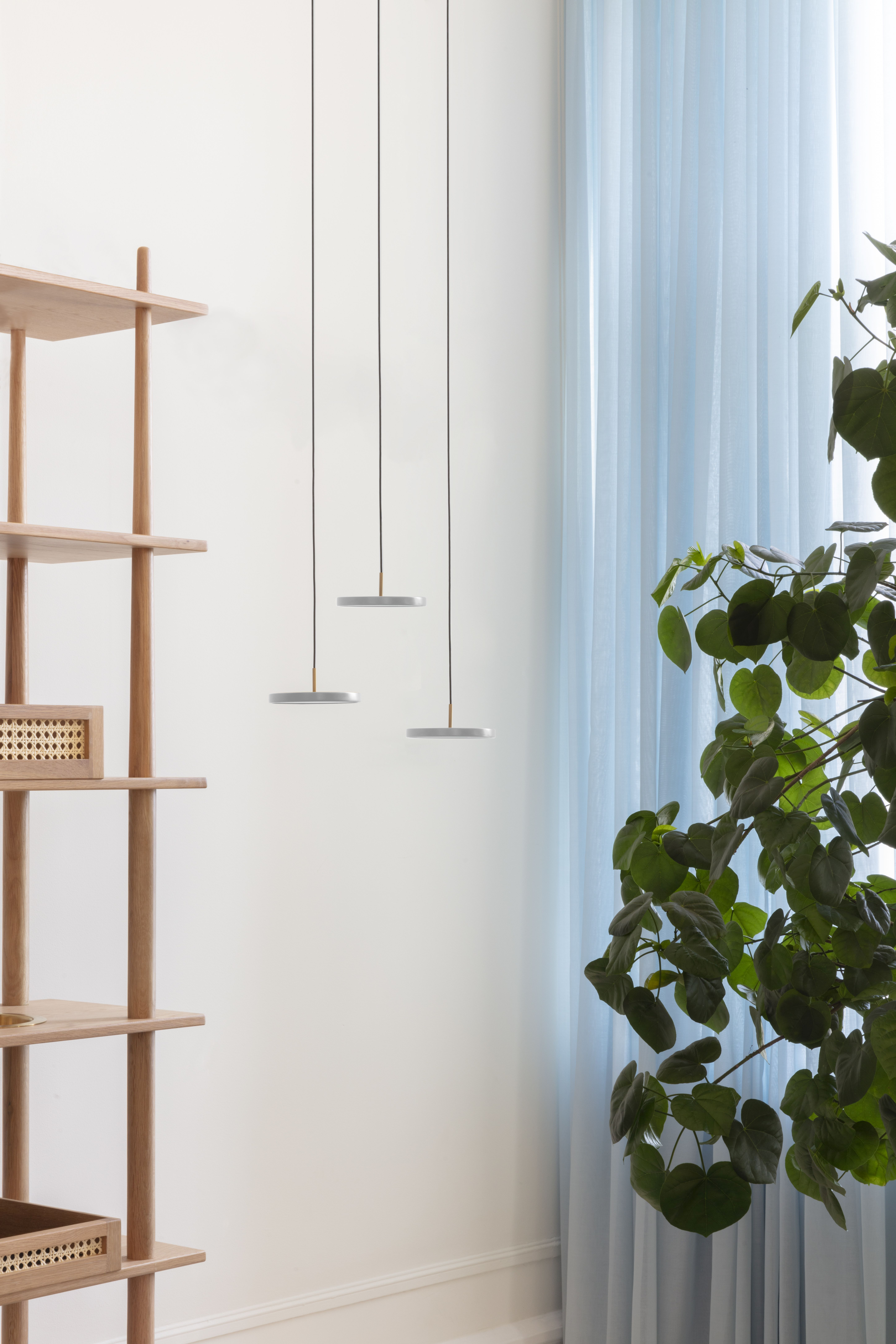 Asteria Micro Pendelleuchte Grün