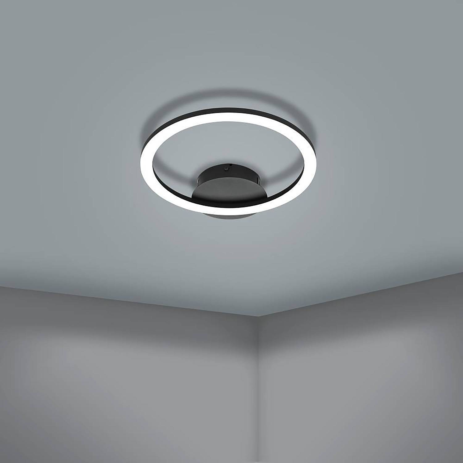 Paranday-Z Type H ceiling light Steel Polycarbonate 1-bulb